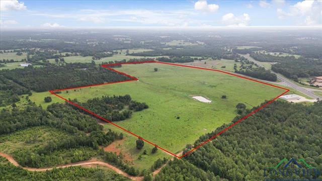 Henderson, Texas, 75654, United States, ,Land,For Sale,1885334