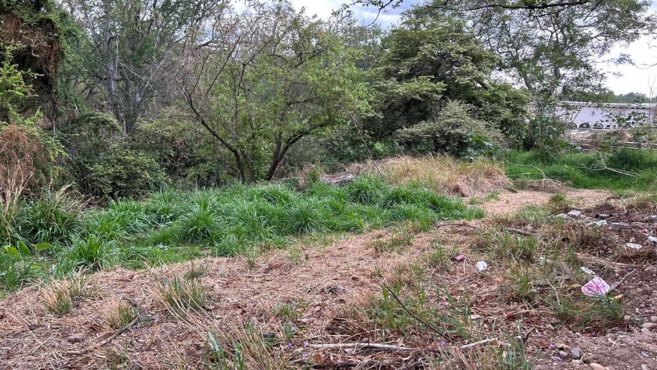 Av. Bosques de San Isidro Sur, Zapopan, Jalisco, 45133, Mexico, 1 Bedroom Bedrooms, ,Residential,For Sale,Av. Bosques de San Isidro Sur,1588840