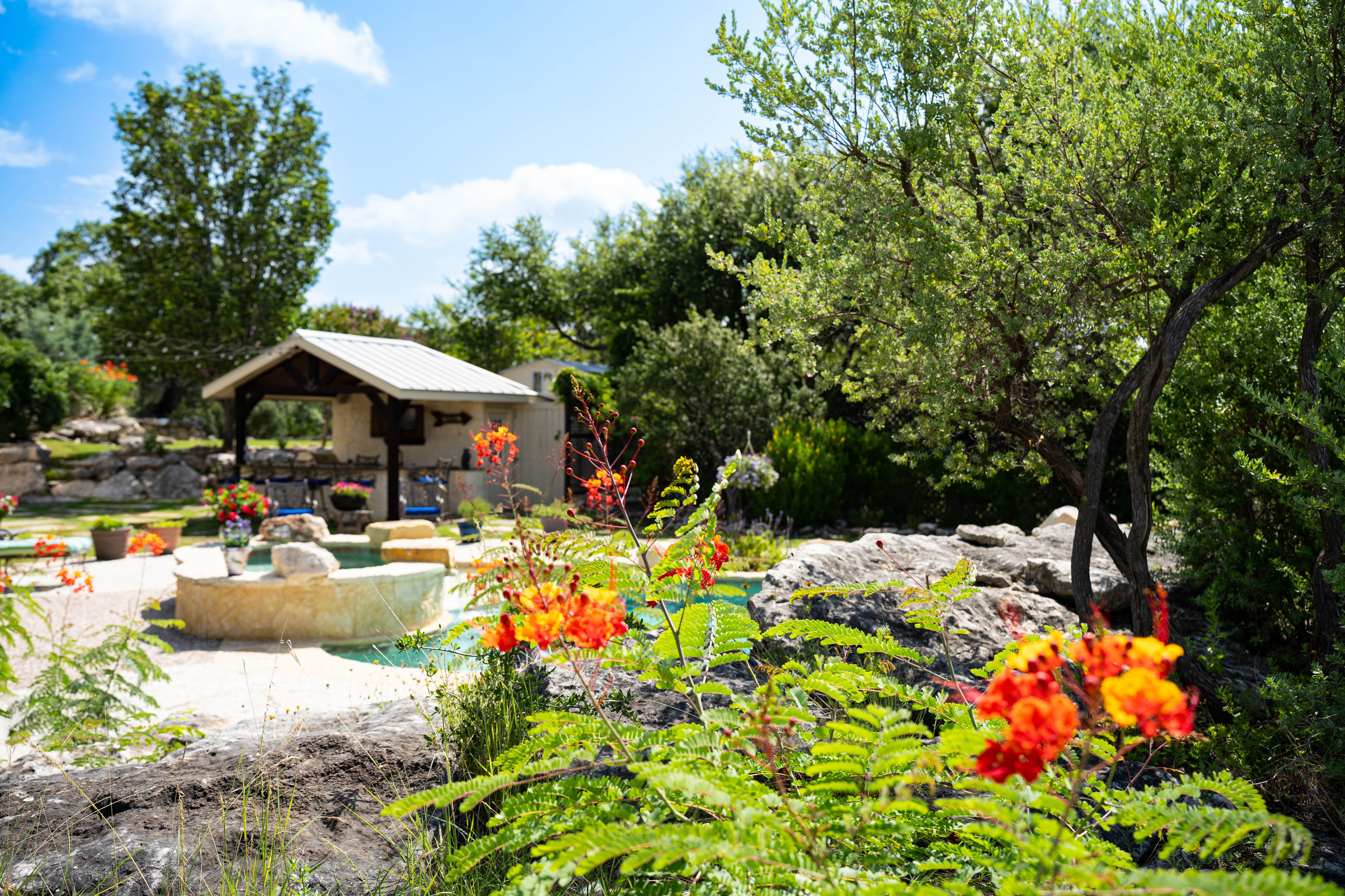  Refined Hill Country Living on the Guadalupe - 物件實景