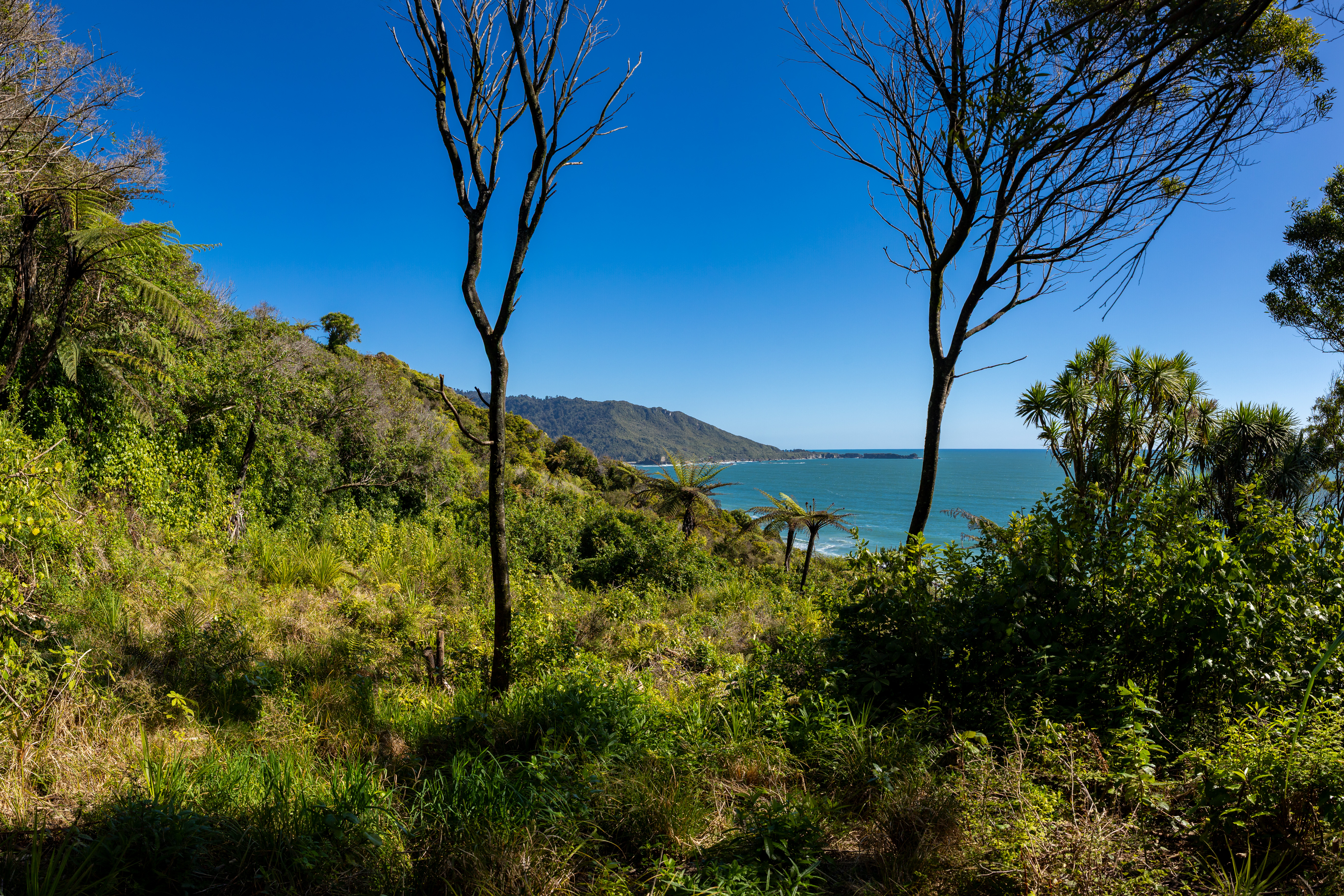  State Highway 6, Fox River, Punakaiki - 物件實景