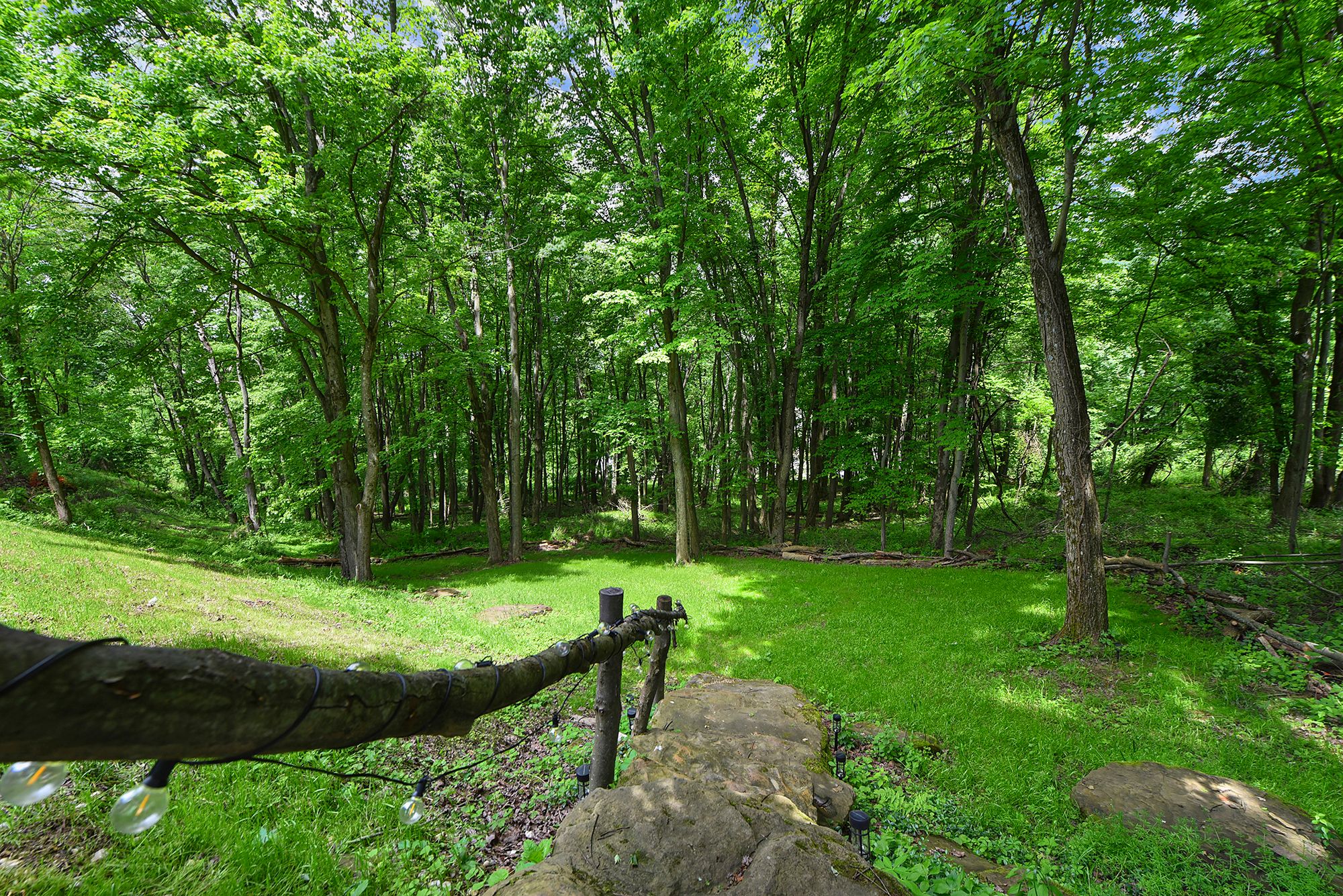 7018 Franklin Road, Seven Fields, PA 16046 - 物件實景