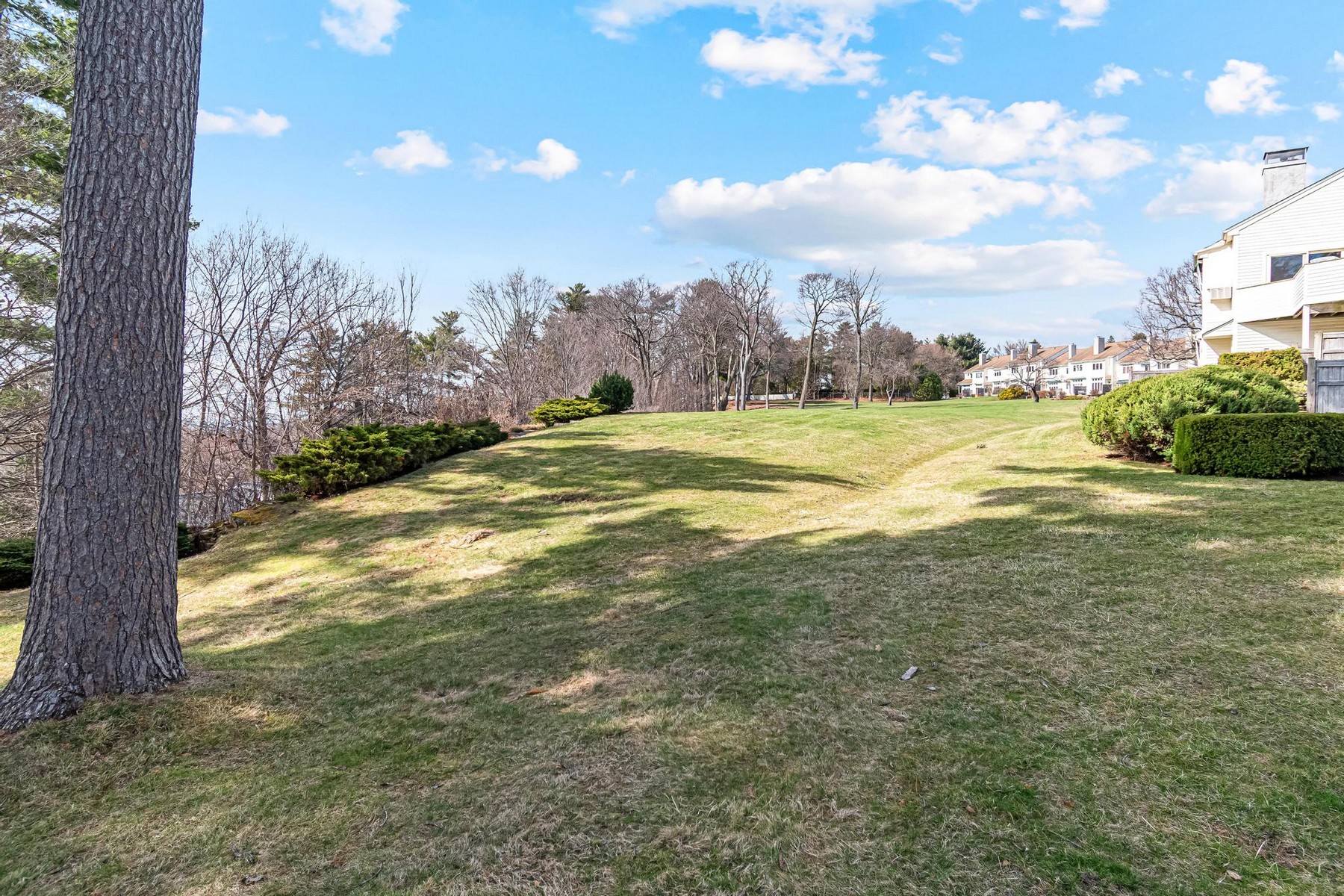  545 South Prospect Street - 物件實景