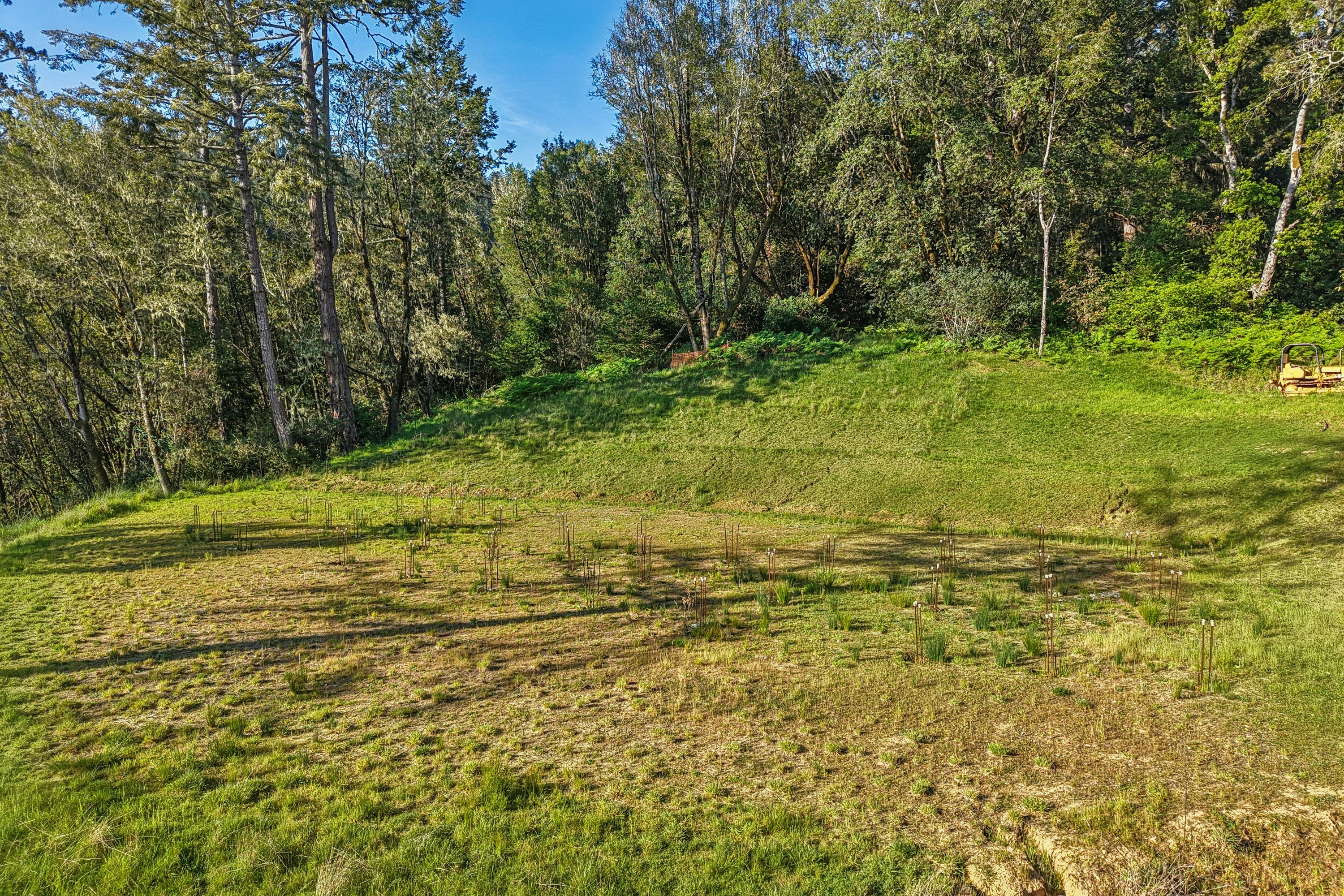 Find your Peace  in the Embrace of Nature - 物件實景