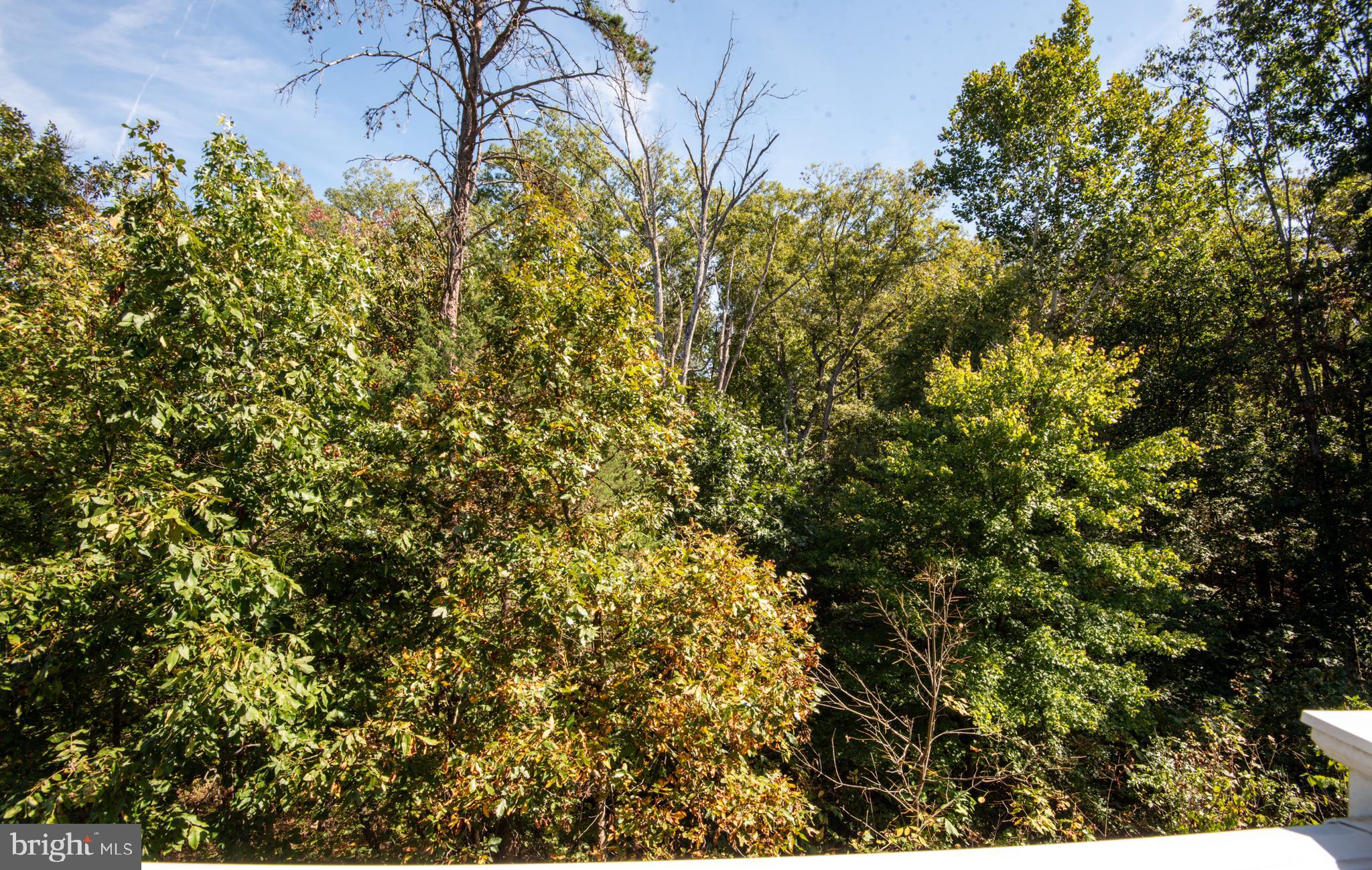 Haymarket, Virginia, 20169, United States, 4 Bedrooms Bedrooms, ,4 BathroomsBathrooms,Residential,For Sale,1980025