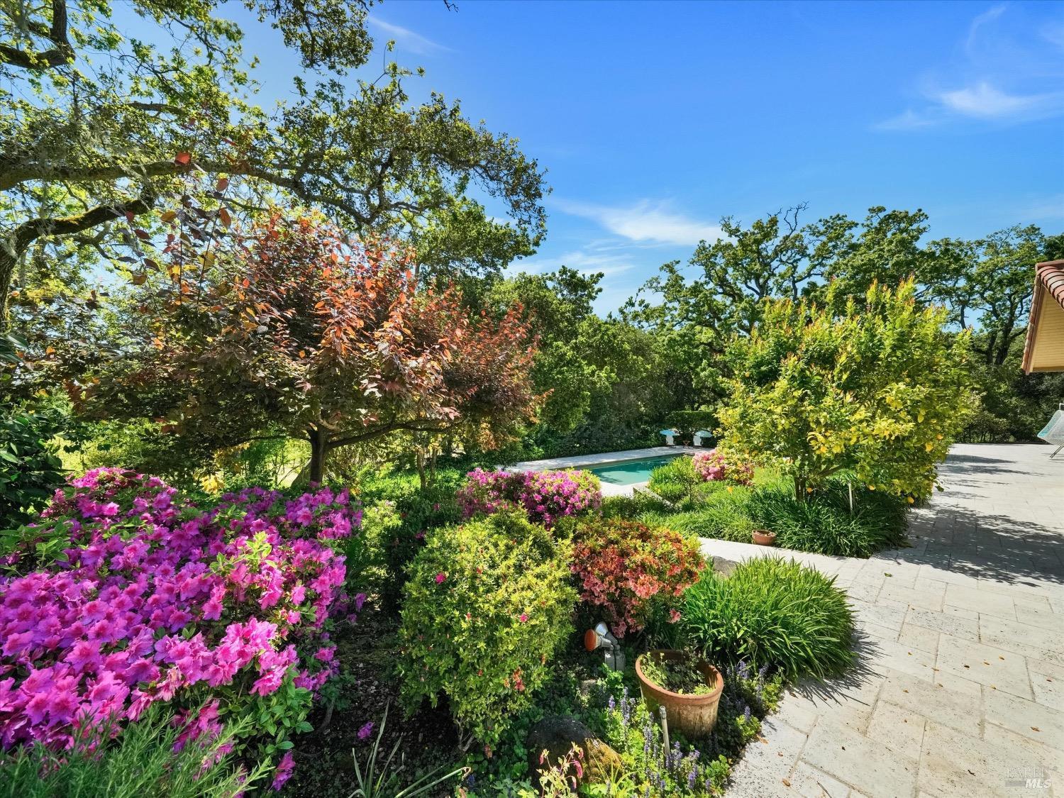 Santa Rosa, California, 95404, United States, 4 Bedrooms Bedrooms, ,4 BathroomsBathrooms,Residential,For Sale,1805193