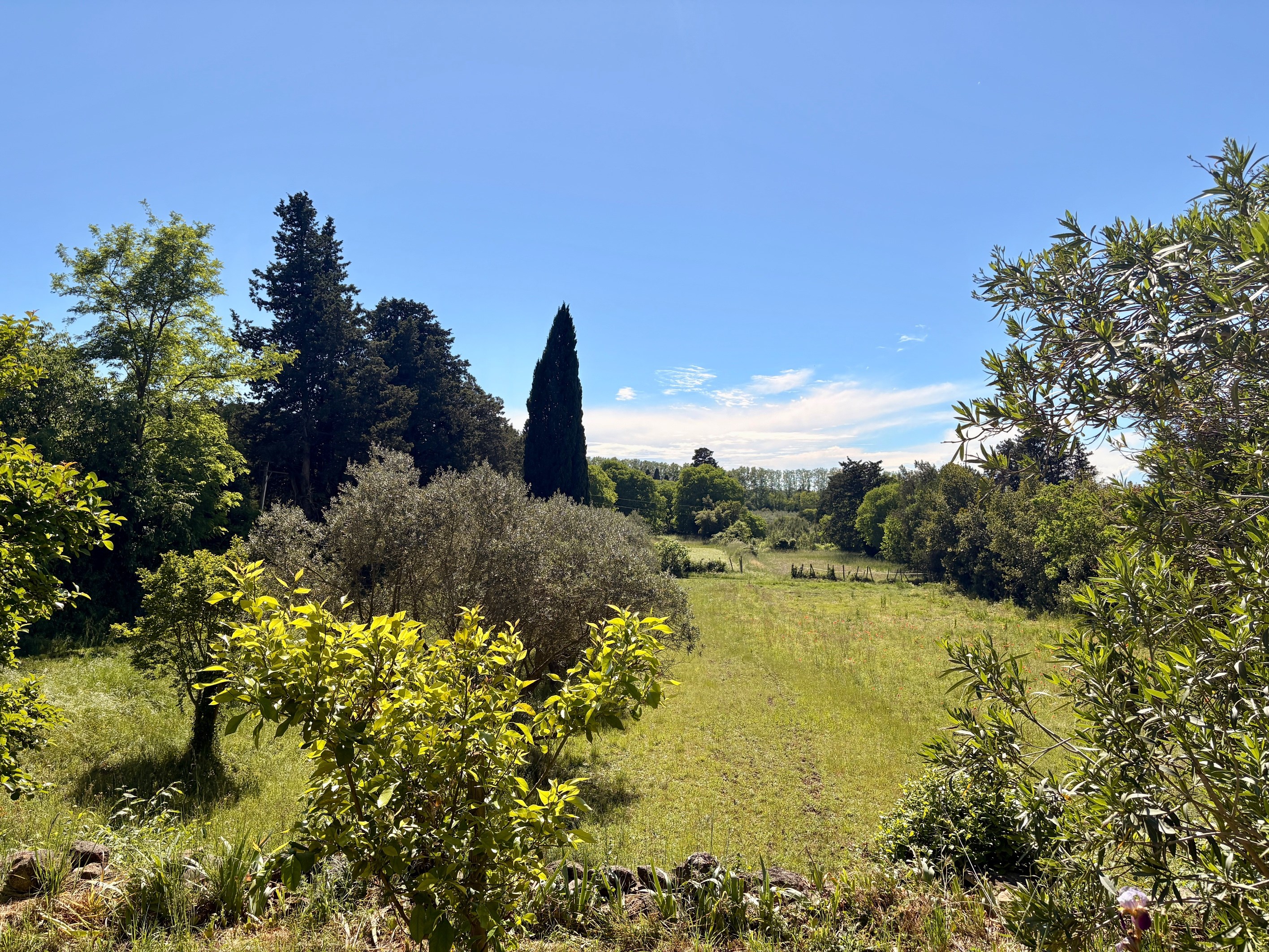  Authentic family farmhouse set in the heart of a private estate of more than 3 … - 物件實景