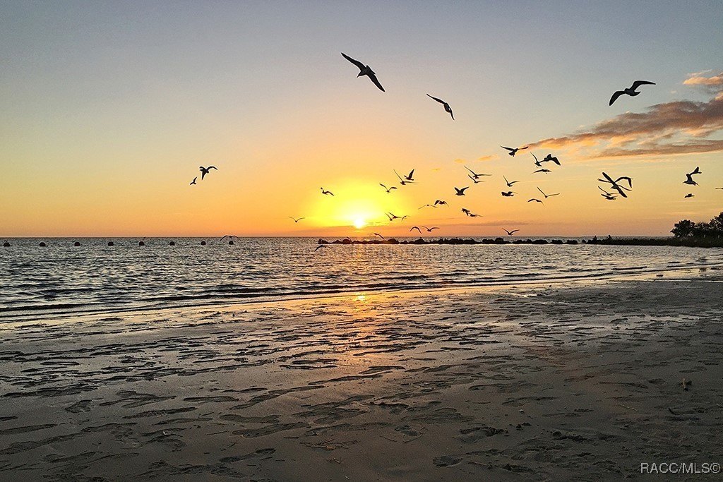 Crystal River, Florida, 34429, United States, ,Residential,For Sale,1977748