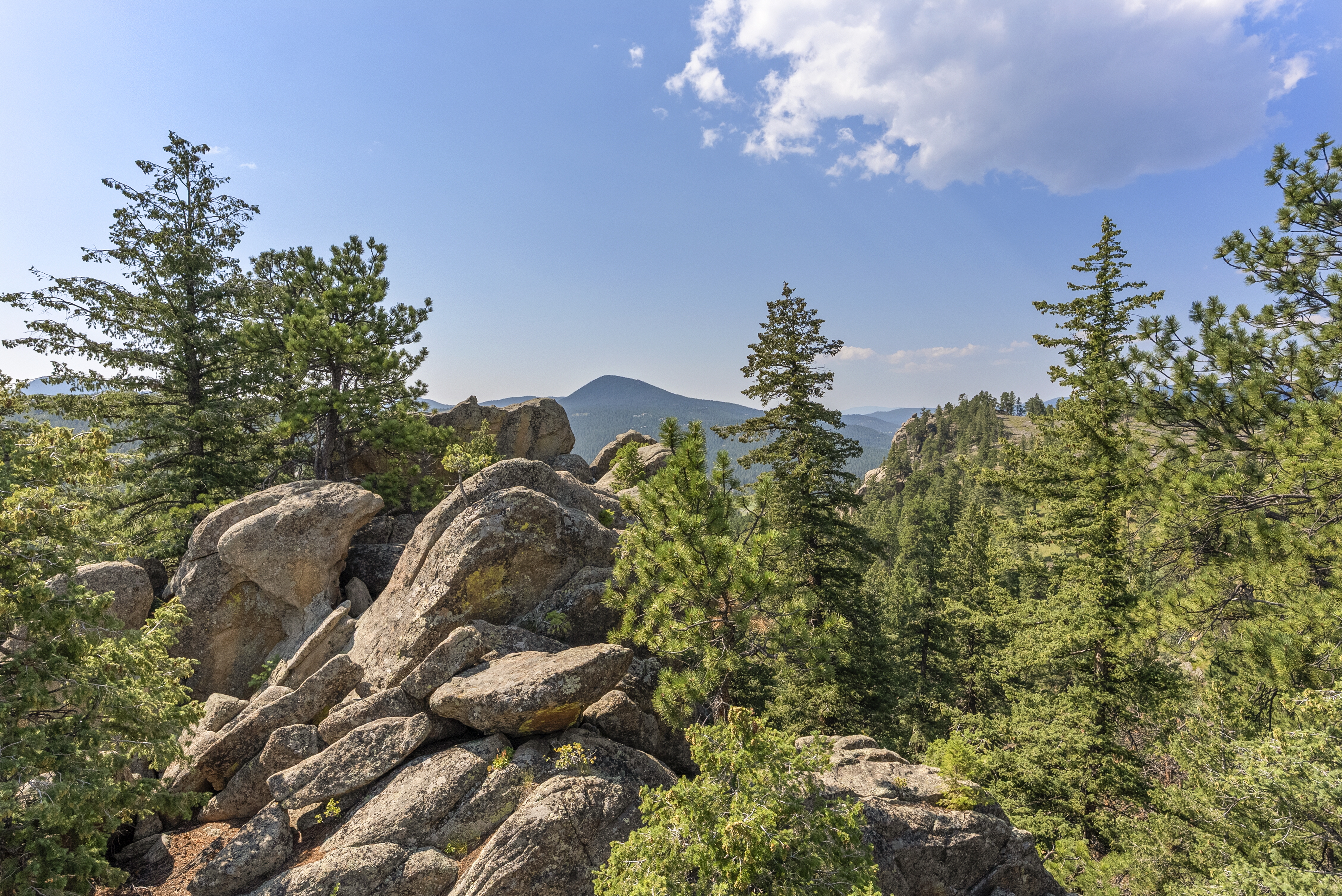  Acreage Available in Evergreen