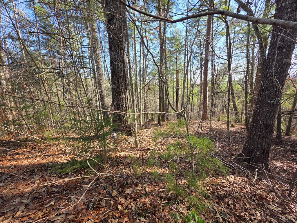 Reliance, Tennessee, 37369, United States, 3 Bedrooms Bedrooms, ,2 BathroomsBathrooms,Residential,For Sale,1985827