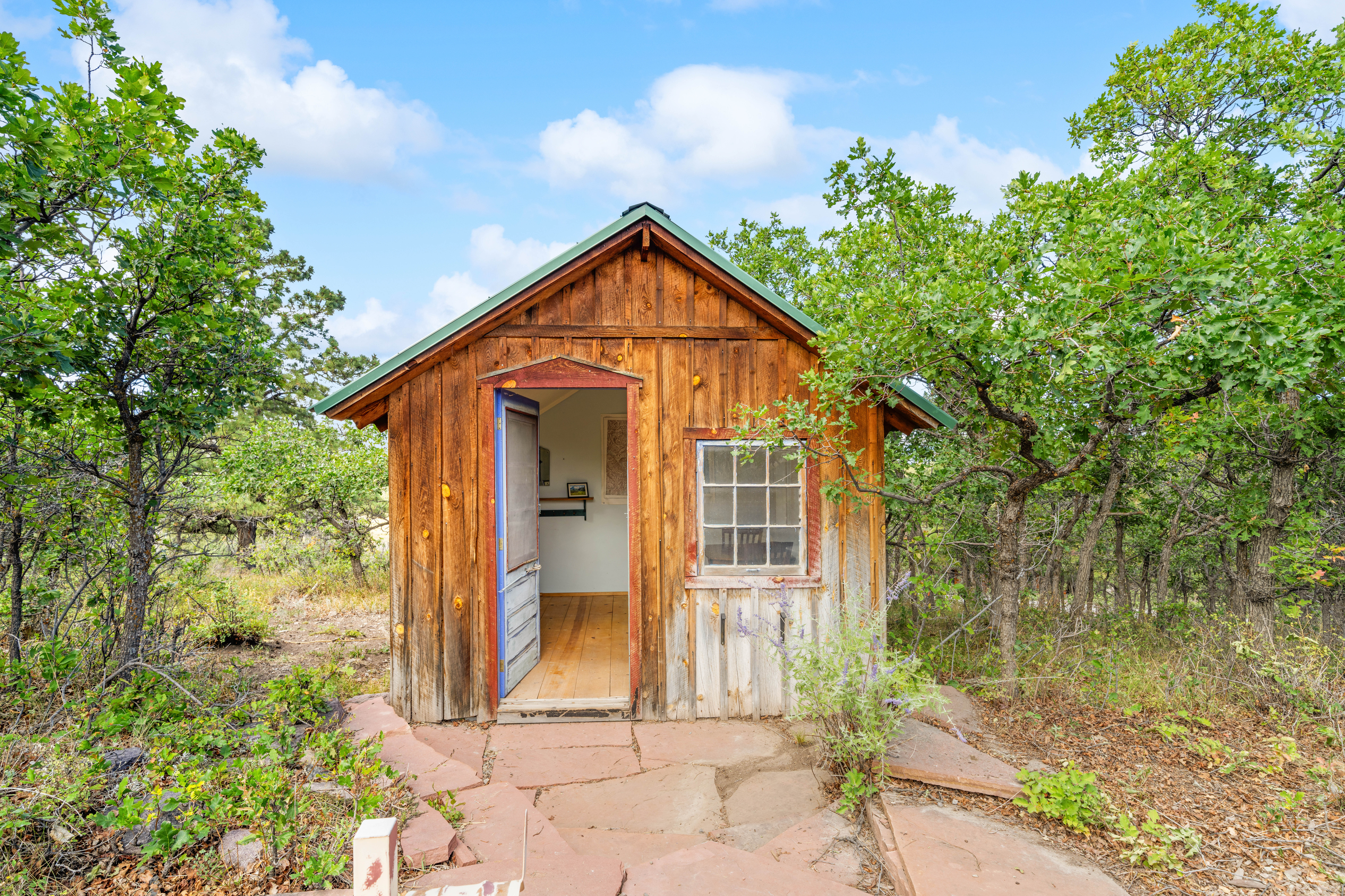  1100 Aspen Drive, Ridgway, CO, 81432 - 物件實景
