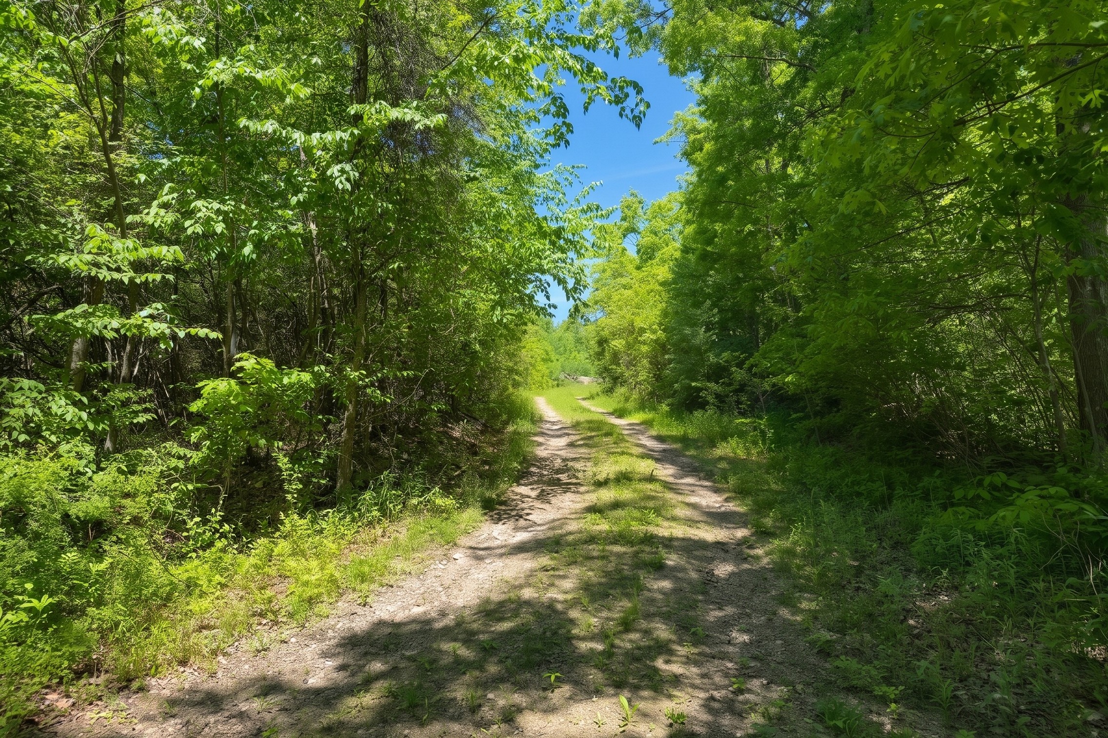  Swaller Hill Road - 物件實景