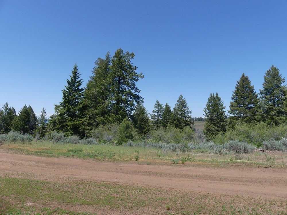 Indian Valley, Idaho, 83682, United States, ,Land,For Sale,1976667