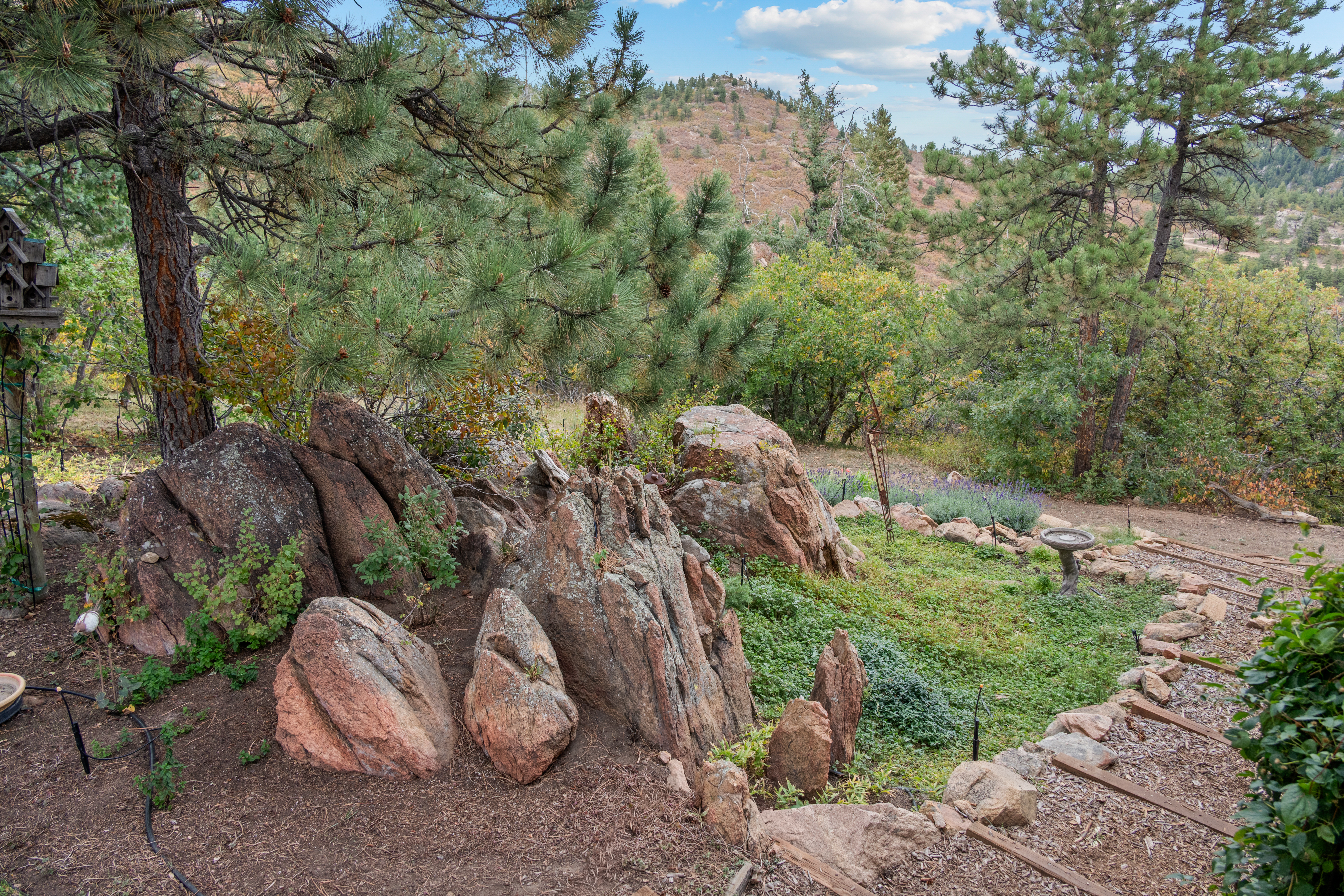  Chatfield Reservoir Log Home on Horse-Friendly 5 Acres with Wrap-Around Decks - 物件實景