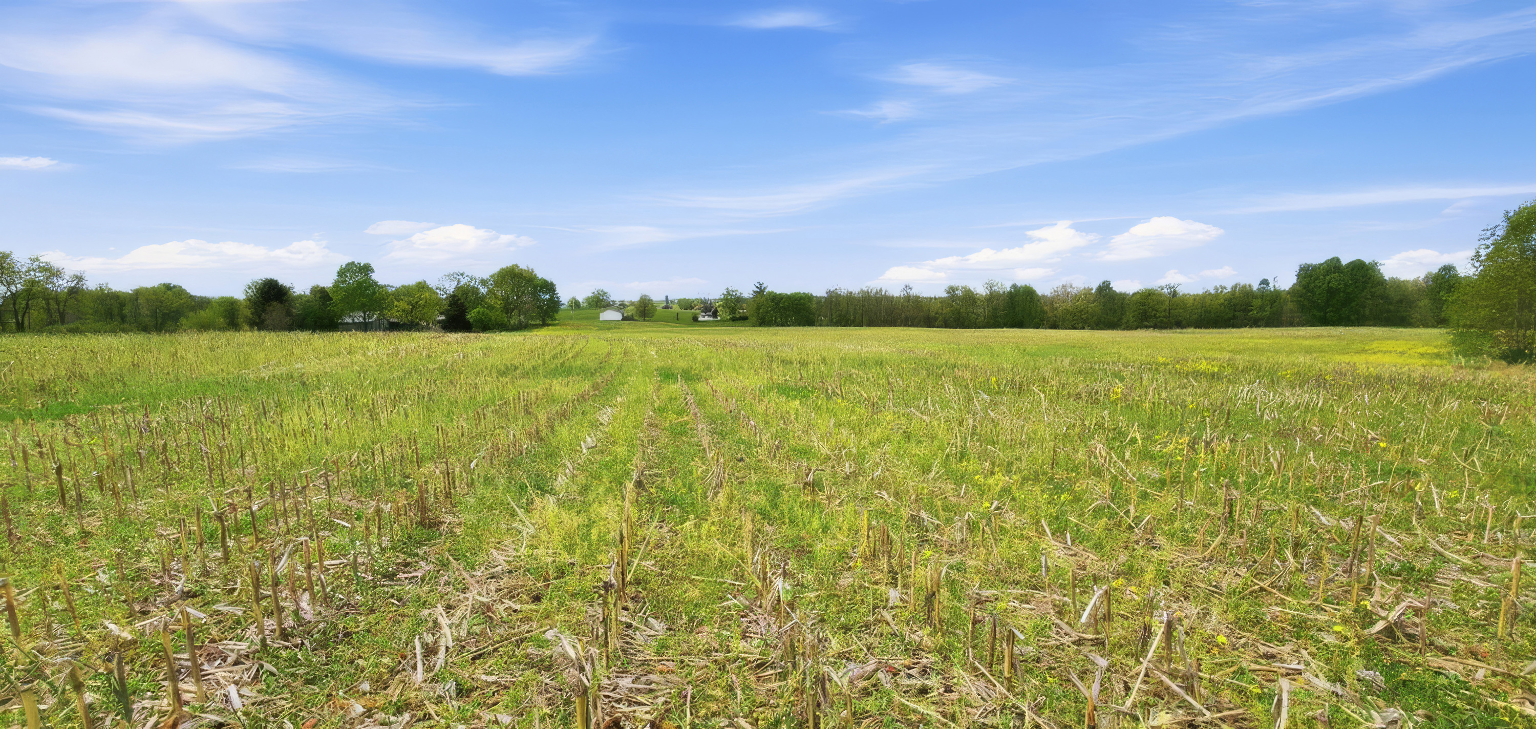  3850 Smith Lane, La Grange, KY 40031 - 物件實景
