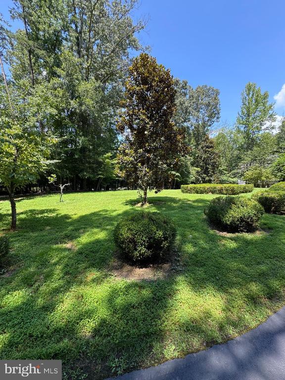 Spotsylvania, Virginia, 22553, United States, 3 Bedrooms Bedrooms, ,2 BathroomsBathrooms,Residential,For Sale,1906703