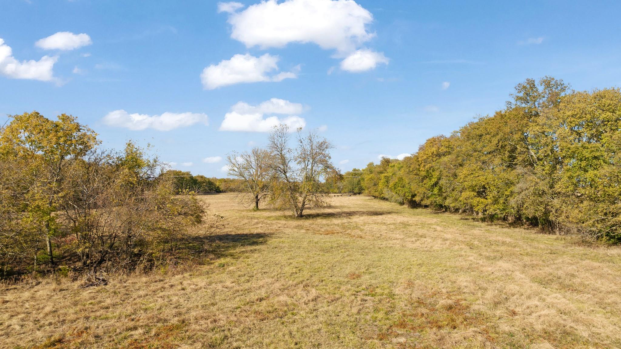 Honey Grove, Texas, 75446, United States, ,Land,For Sale,1992343
