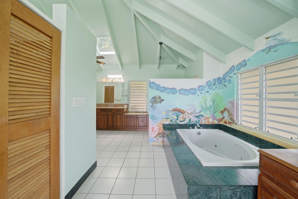 St. Croix, Virgin Islands, 00820, VI, 3 Bedrooms Bedrooms, ,4 BathroomsBathrooms,Residential,For Sale,1992874