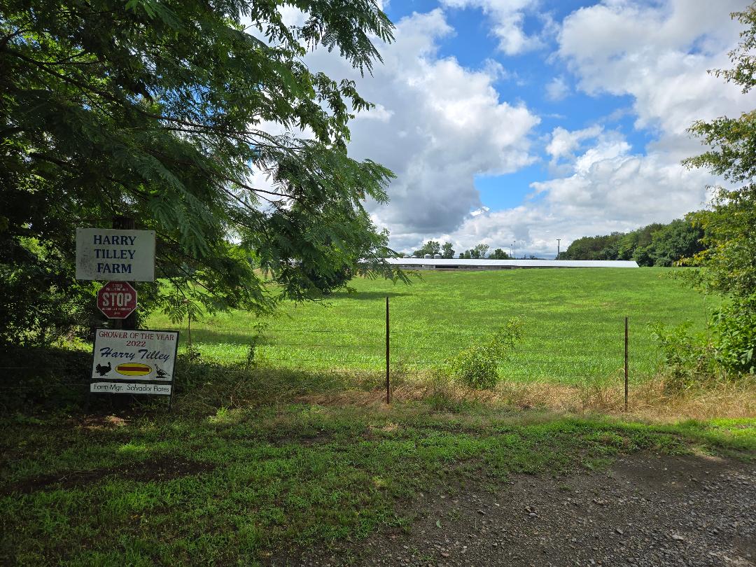 Lamar, Arkansas, 72846, United States, ,Residential,For Sale,2048201