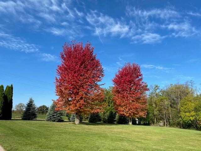 Monticello, Wisconsin, 53570-9520, United States, 4 Bedrooms Bedrooms, ,3 BathroomsBathrooms,Residential,For Sale,2005674
