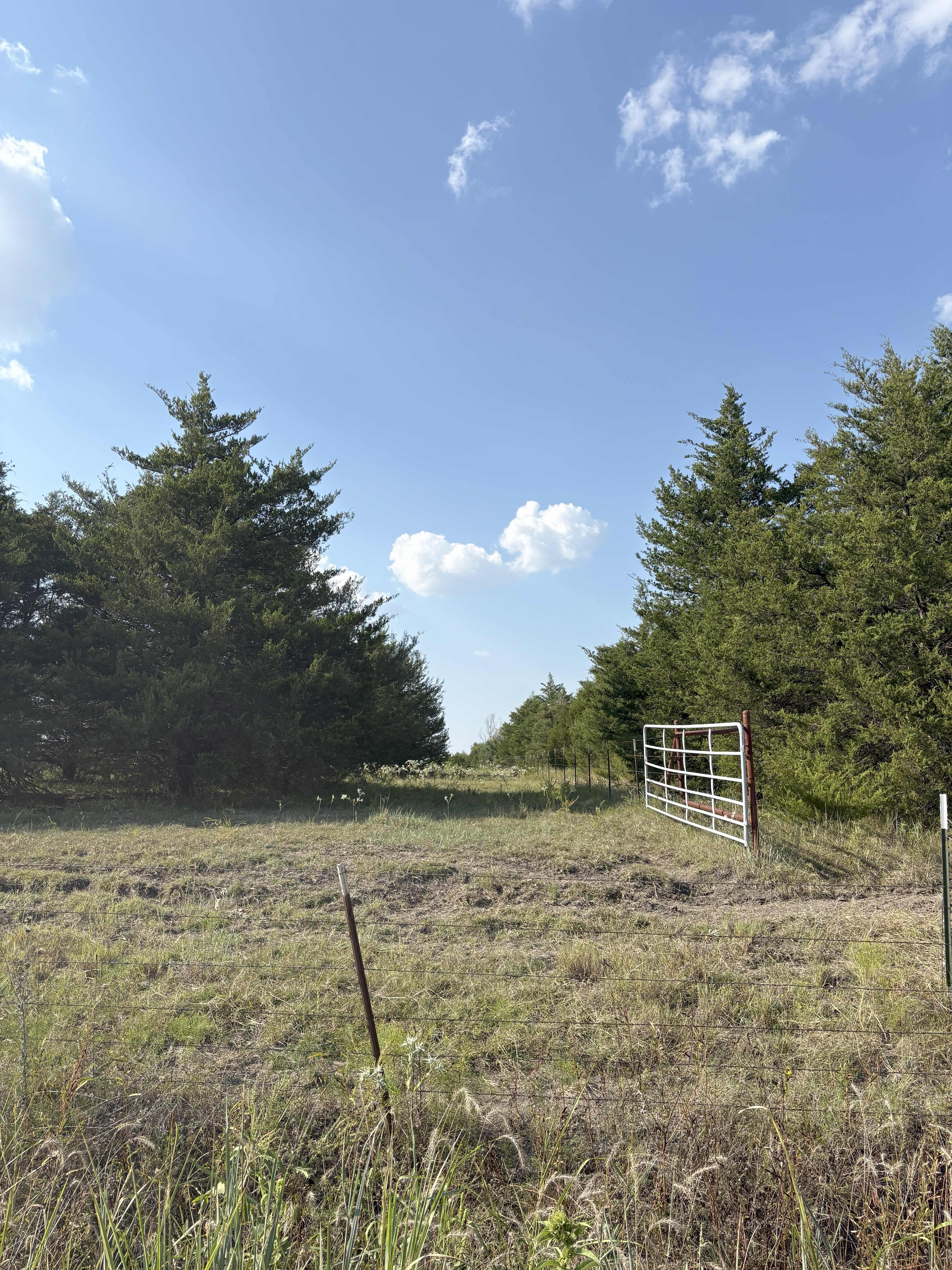 Roxton, Texas, 75477, United States, ,Land,For Sale,1979032