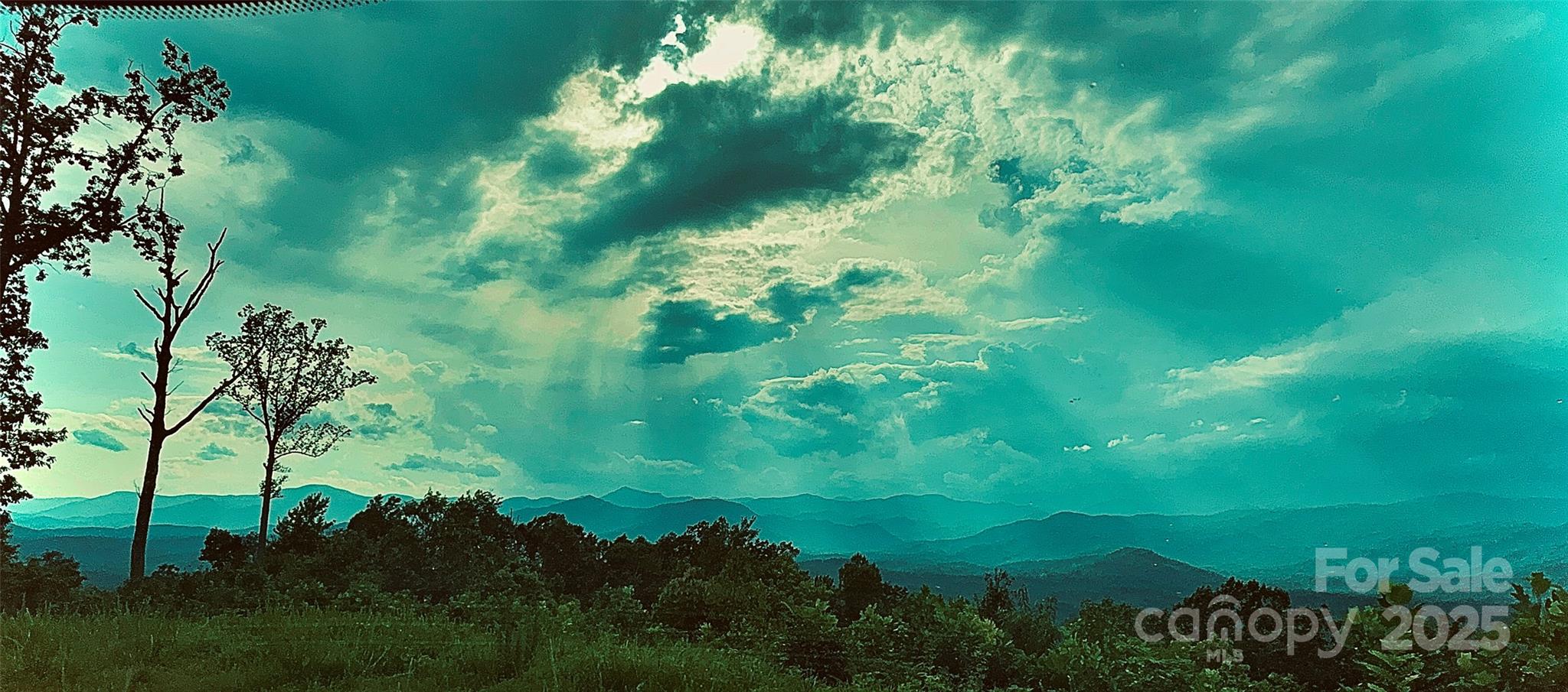 Union Mills, North Carolina, 28167, United States, ,Land,For Sale,2002856