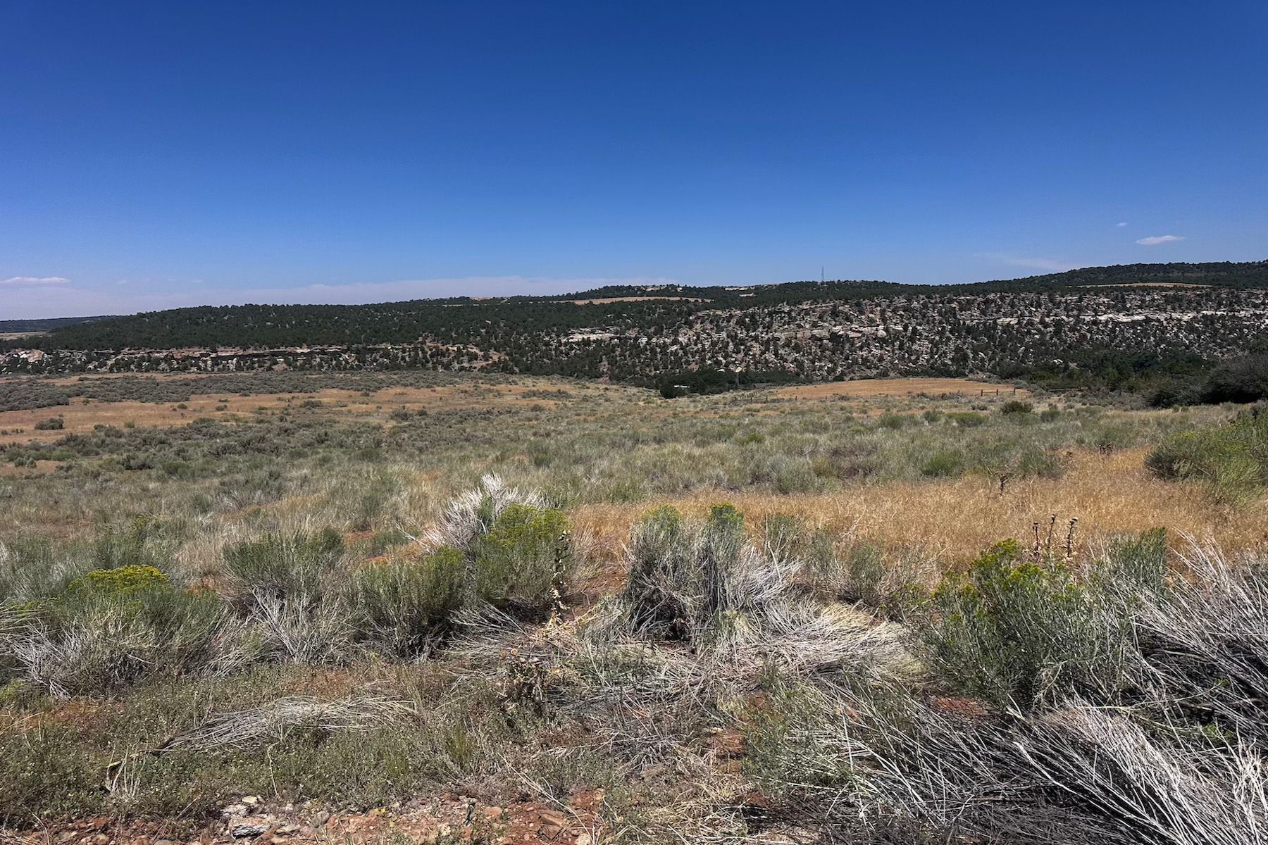  29373 Colorado 184, Dolores, CO 81323 - 物件實景