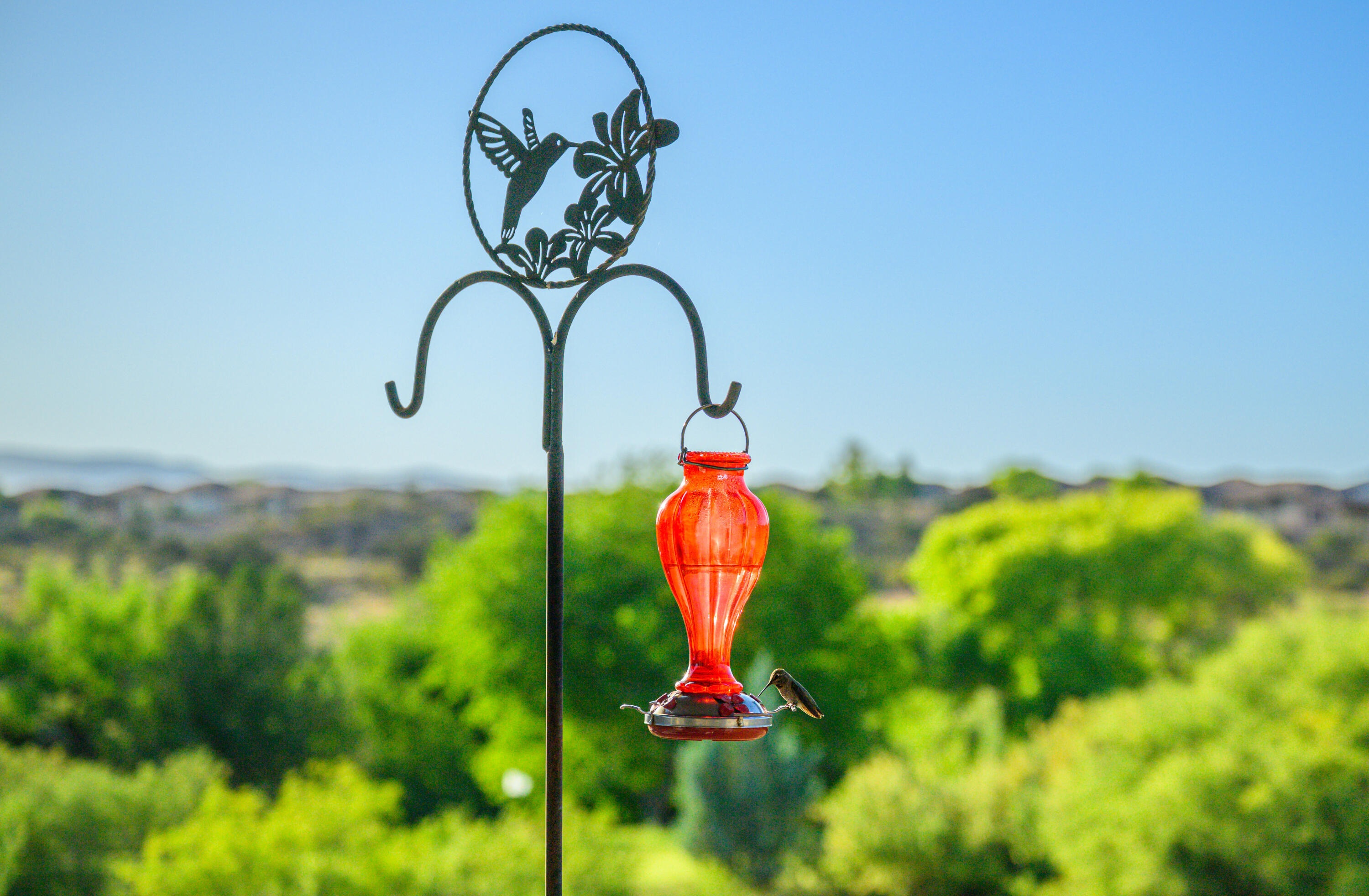  4280 Hogan Drive, Cornville, AZ 86325 - 物件實景