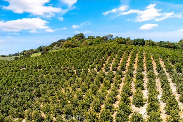 Temecula, California, 92590, United States, ,Land,For Sale,1988862