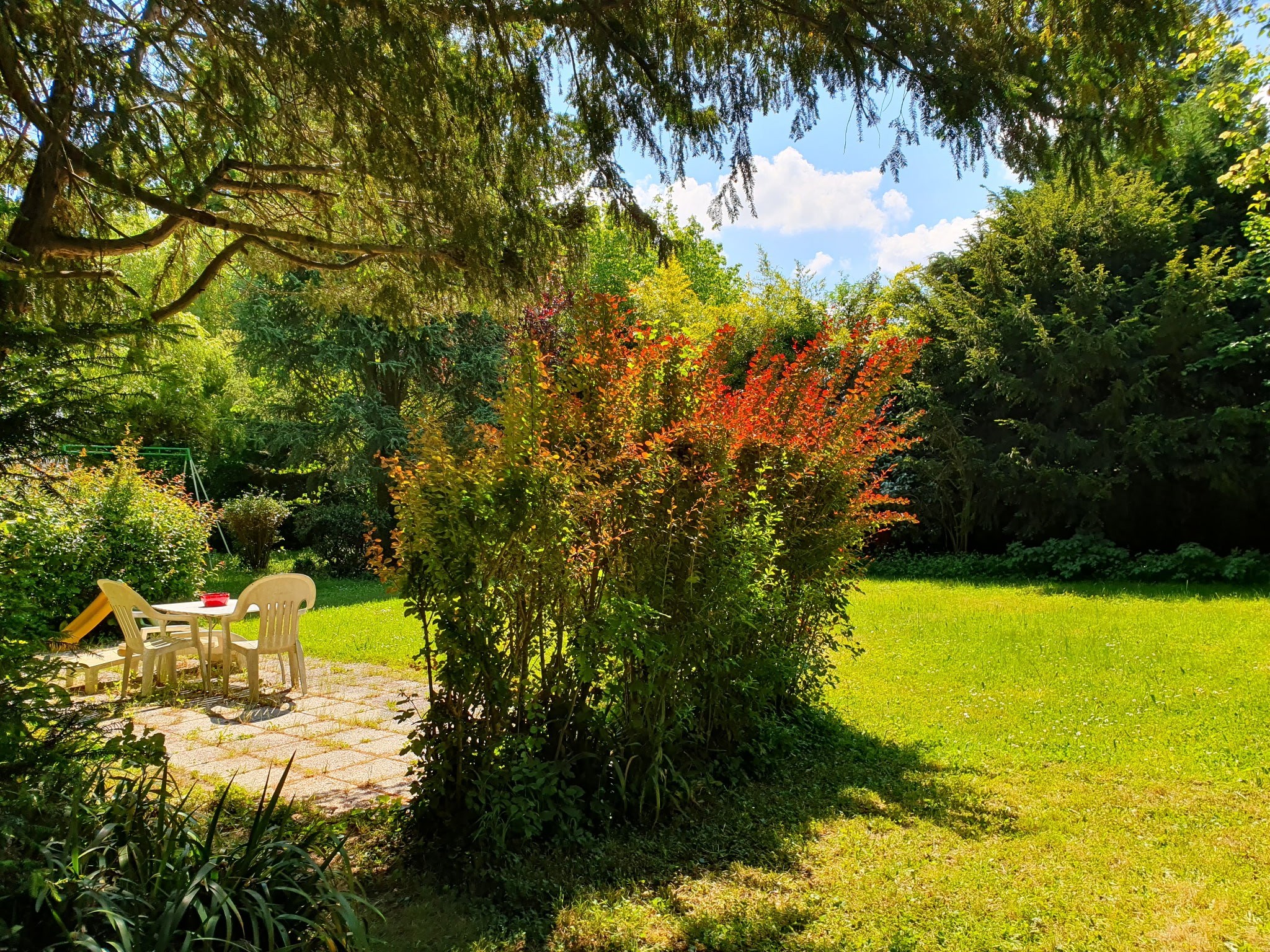  Olivet – Elegant Early 20th Century Villa – 230 sqm – 1,800 sqm Landscaped Park - 物件實景