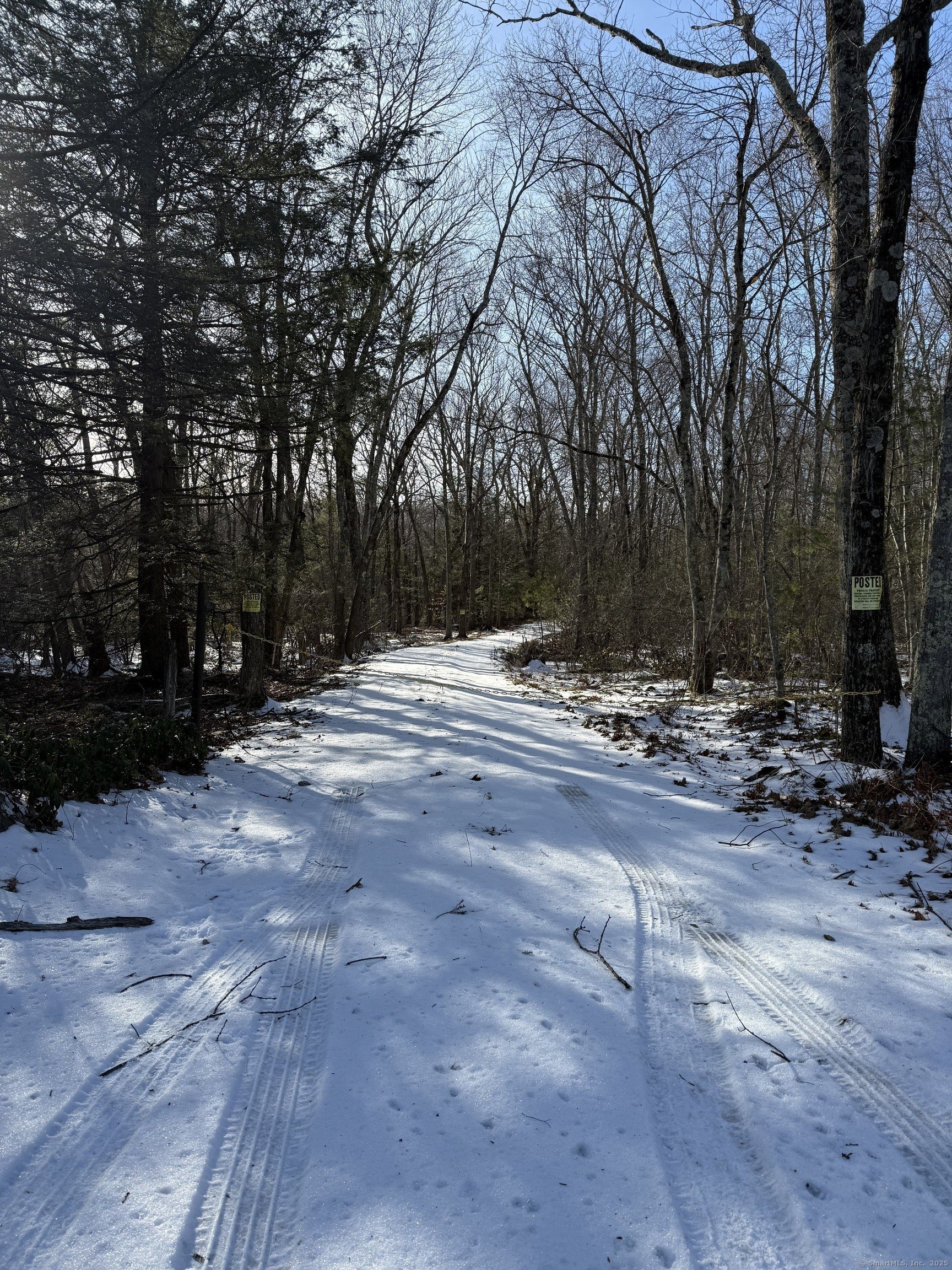 Burlington, Connecticut, 06013, United States, ,Land,For Sale,1982726