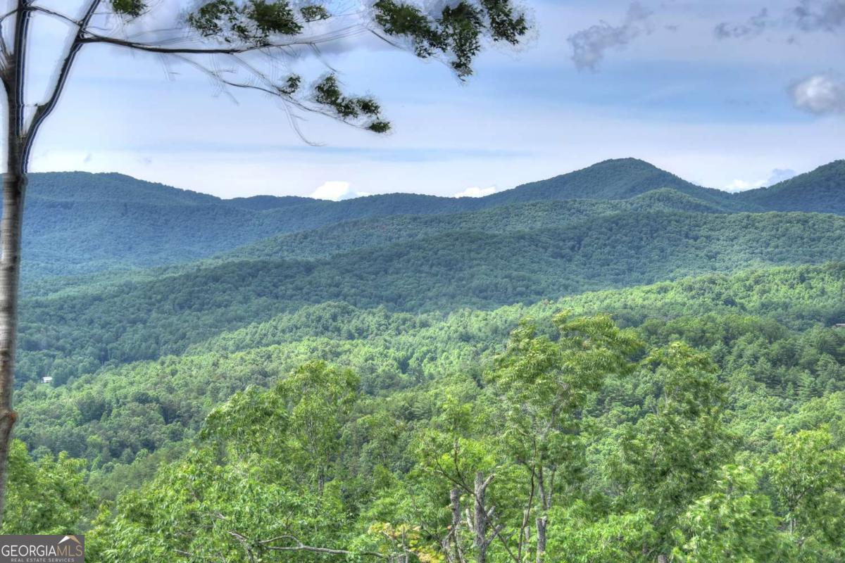 Mineral Bluff, Georgia, 30559, United States, 4 Bedrooms Bedrooms, ,4 BathroomsBathrooms,Residential,For Sale,1876887