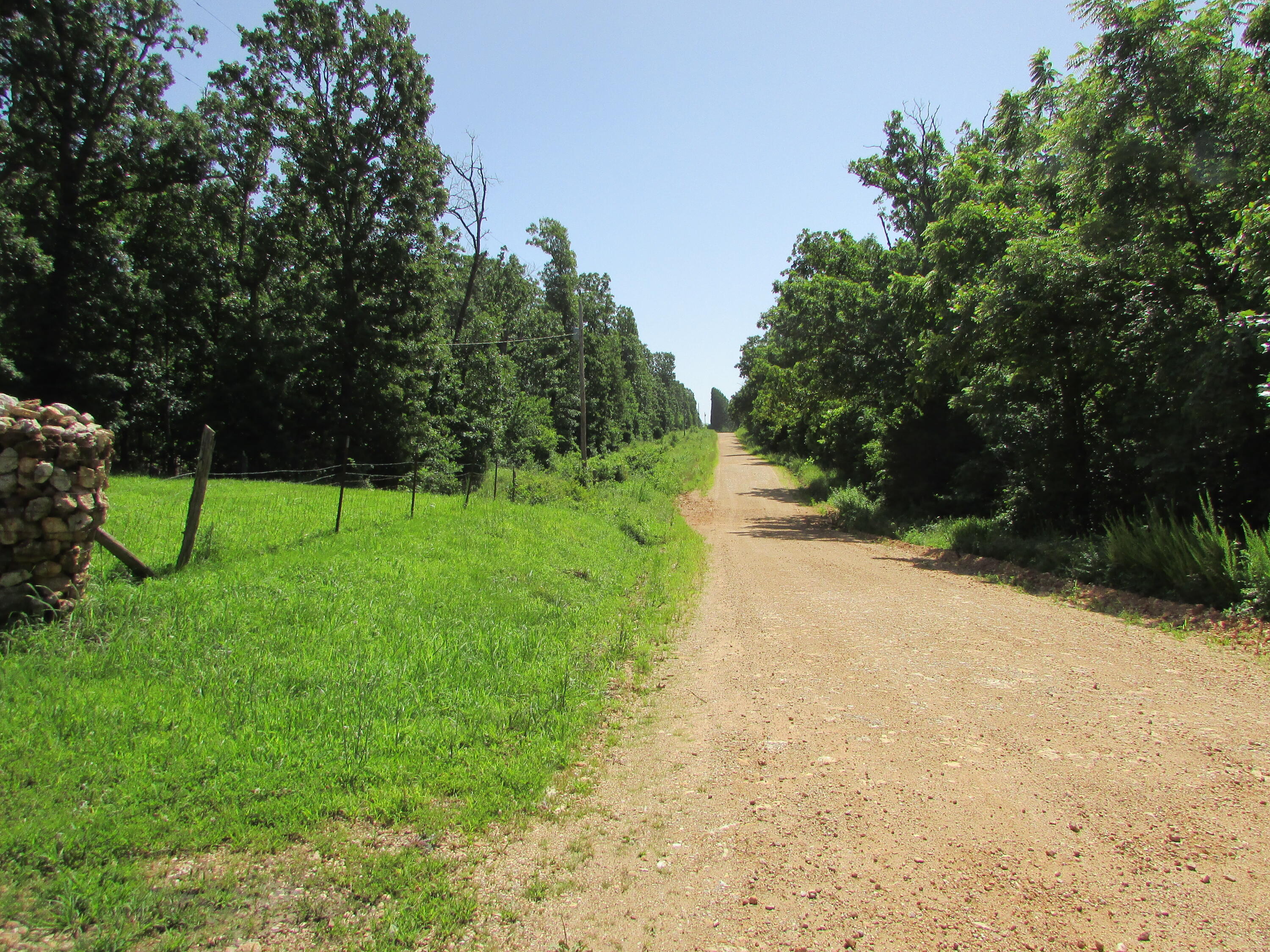 Summit Rd, Grovespring, MO 65662 #1