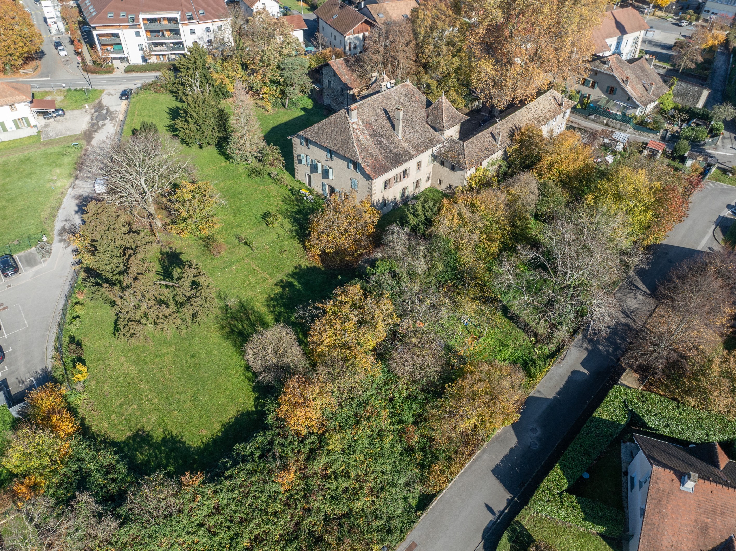  Exceptional manor at the gates of Geneva - 物件實景