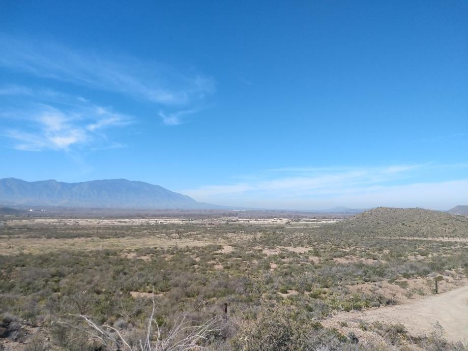 KM 3 CARRETERA PARRAS A GENERAL CEPEDA, Parras, Coahuila de Zaragoza, 27987, Mexico, 1 Bedroom Bedrooms, ,Residential,For Sale,KM 3 CARRETERA PARRAS A GENERAL CEPEDA,1472261