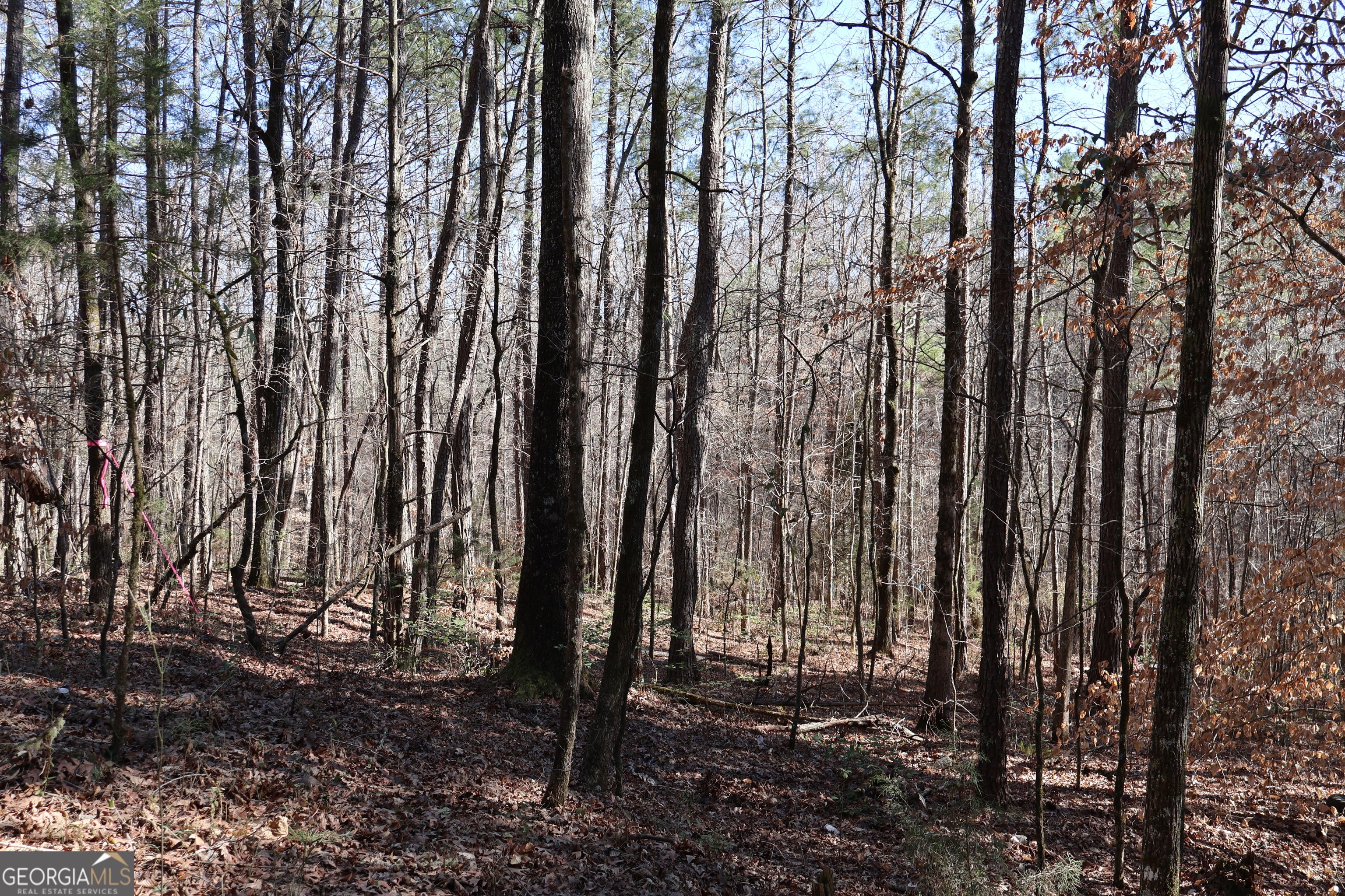 Forsyth, Georgia, 31029, United States, ,Land,For Sale,1858913