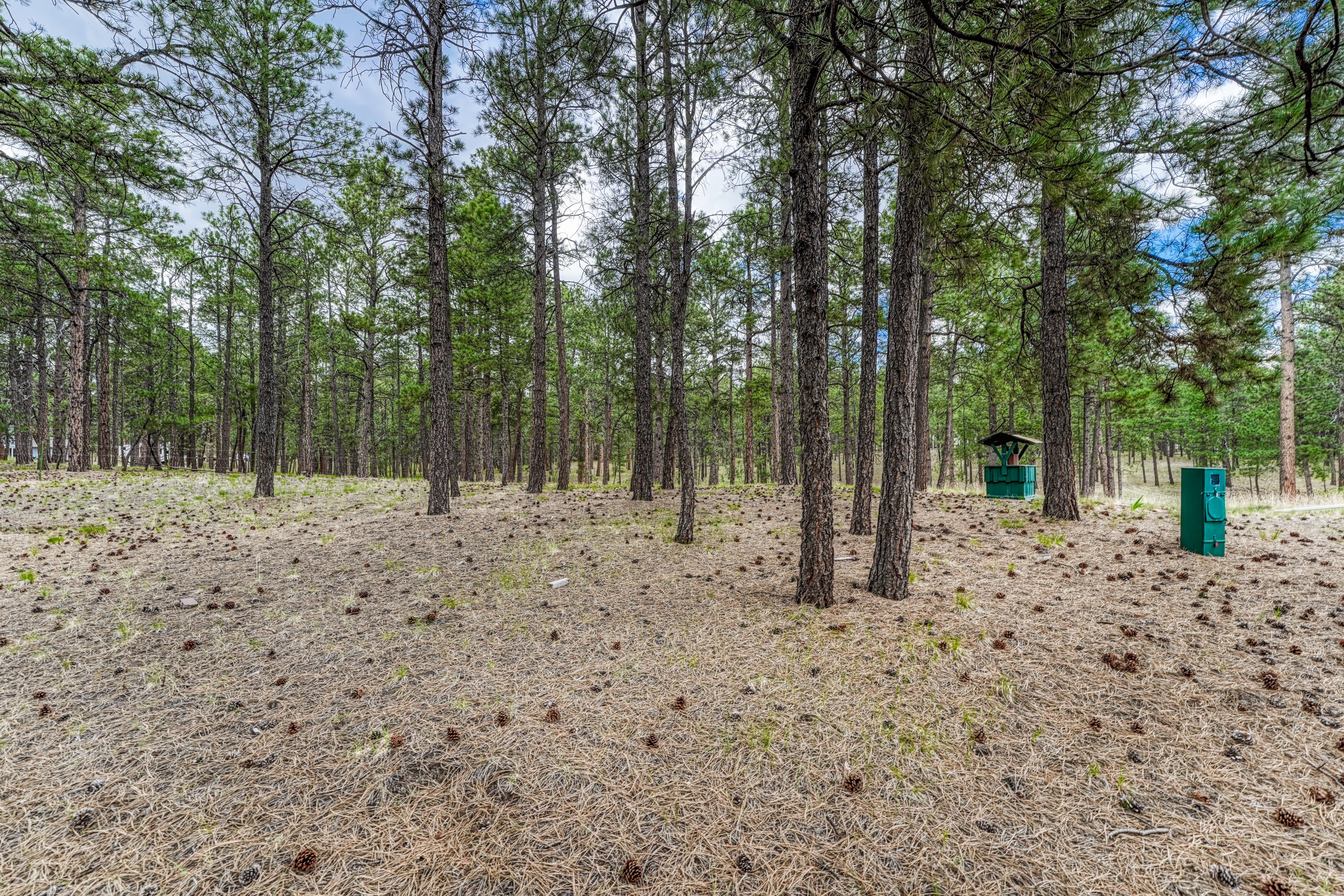  Meticulously maintained ranch-style home in sought-after Black Forest - 物件實景