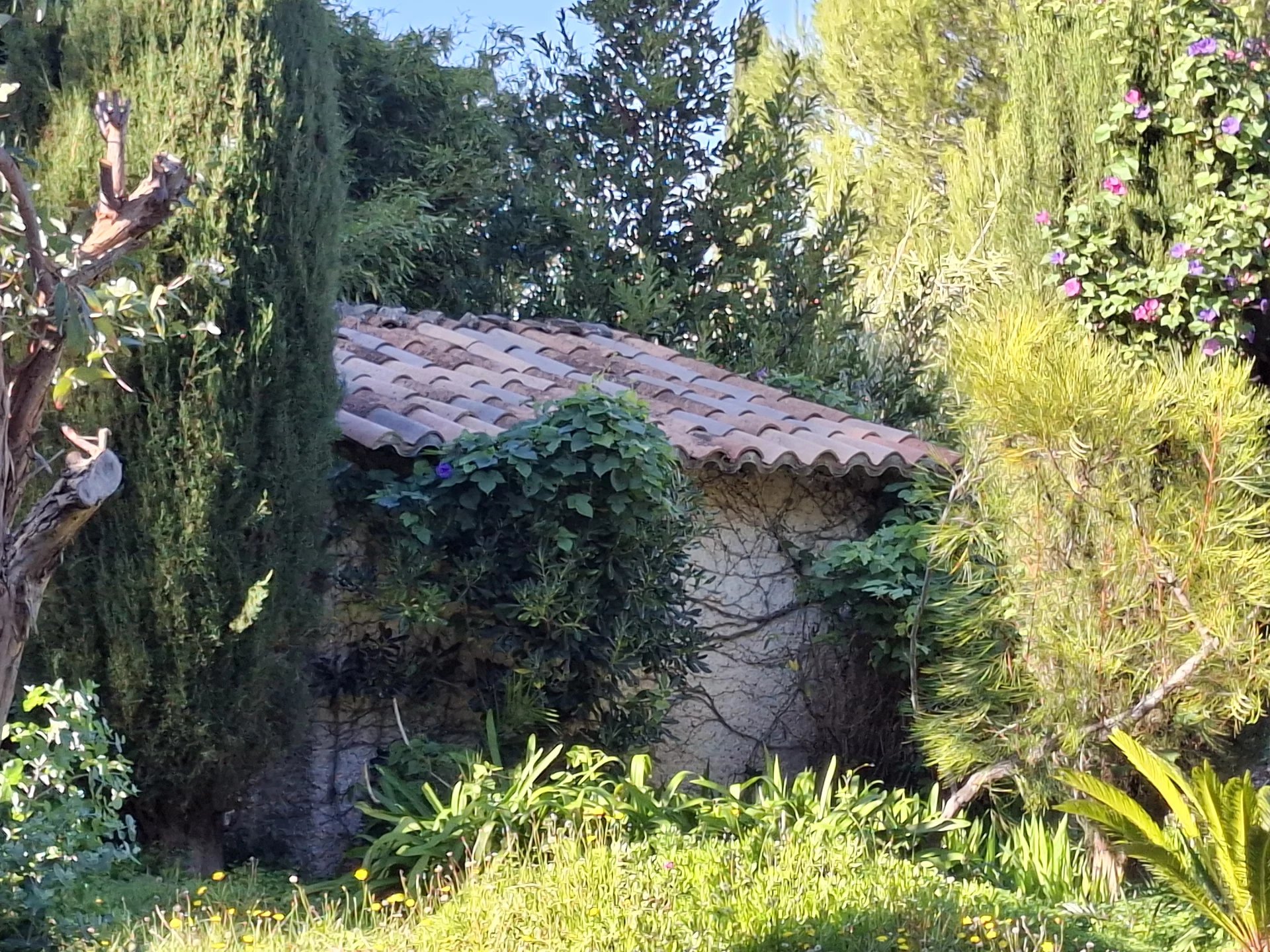 Hyères, Provence-Alpes-Côte d’Azur, 83400, FR, 3 Bedrooms Bedrooms, ,3 BathroomsBathrooms,Residential,For Sale,1987881