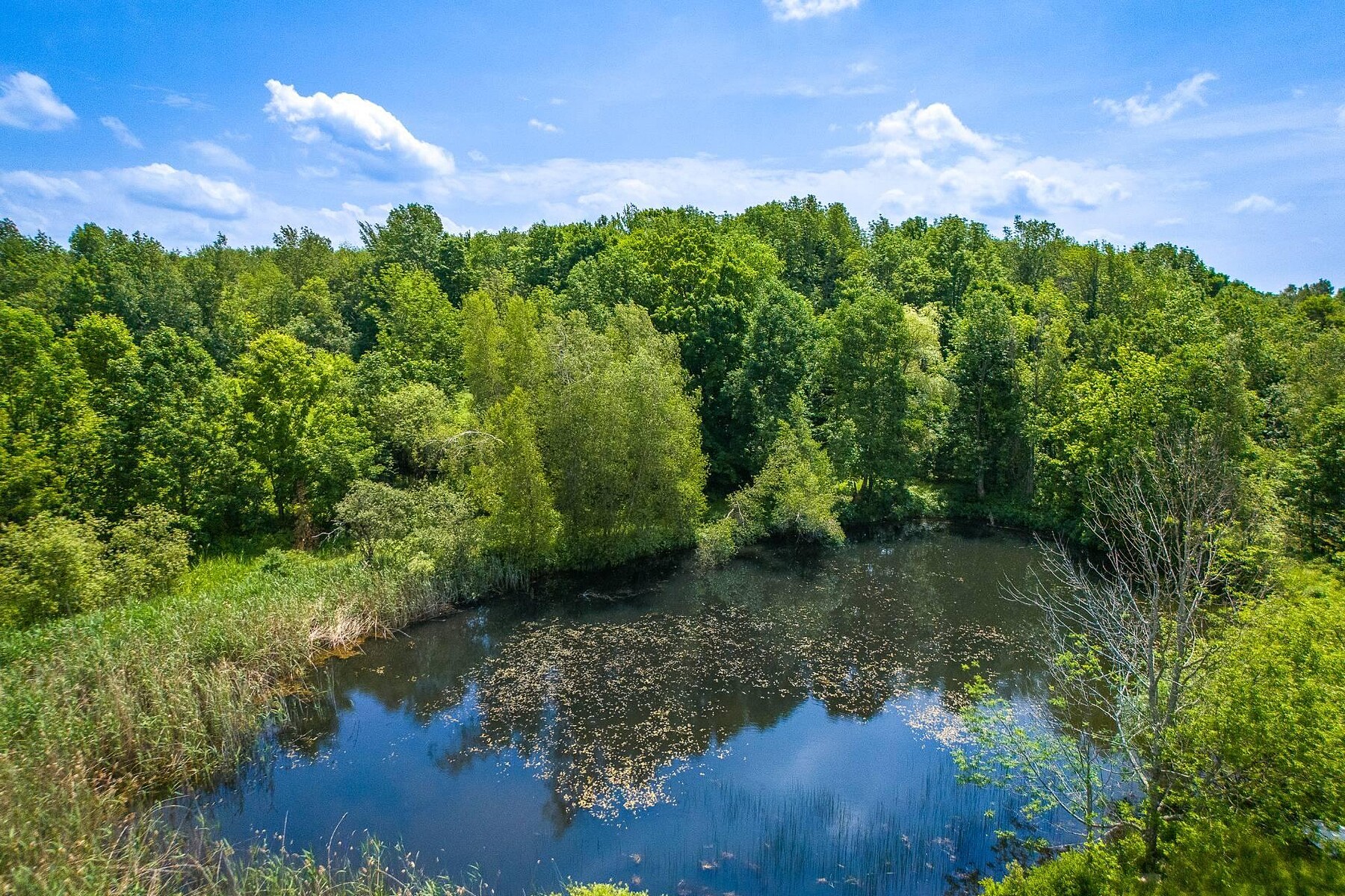  Sutton, Eastern Townships - 物件實景