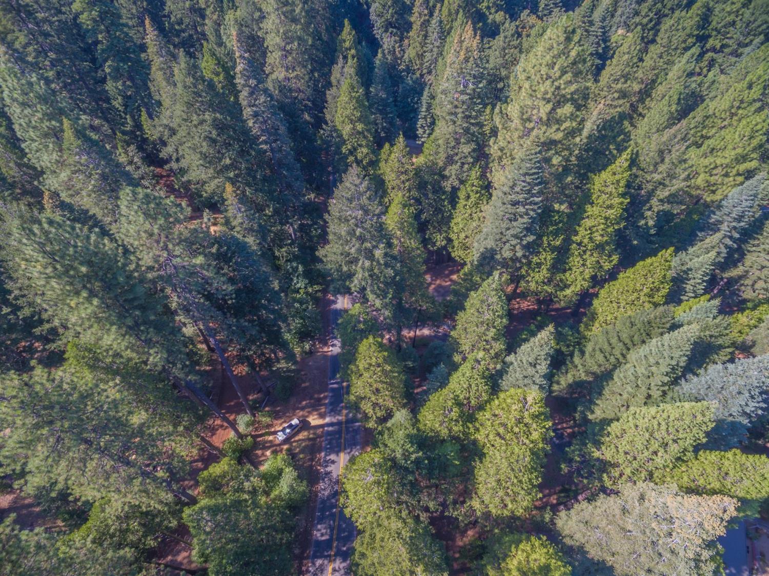 Pollock Pines, California, 95726, United States, ,Residential,For Sale,1982906