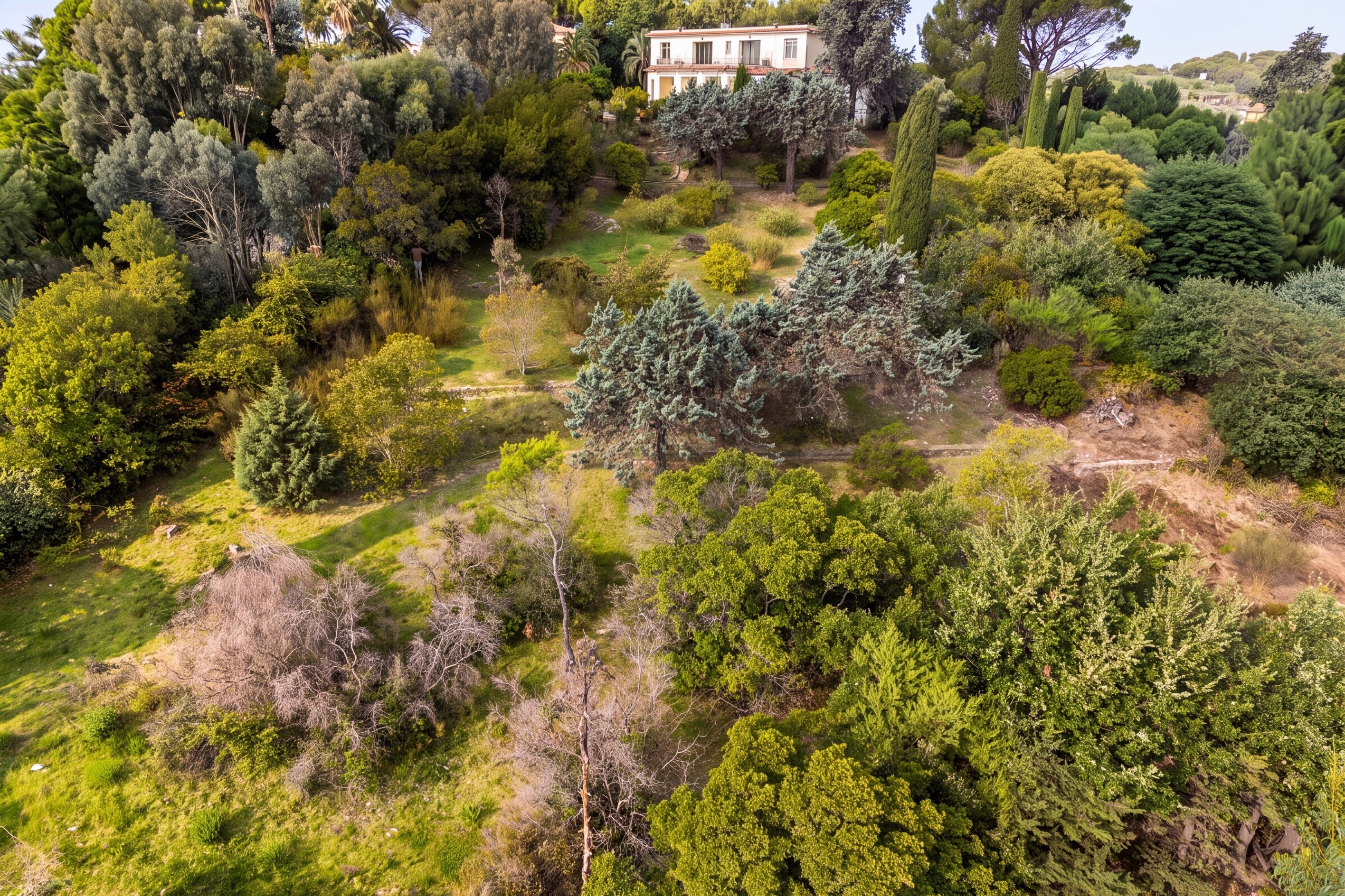  Super Cannes, 6,071 sqm of land with cleared permit for two contemporary sea vi… - 物件實景