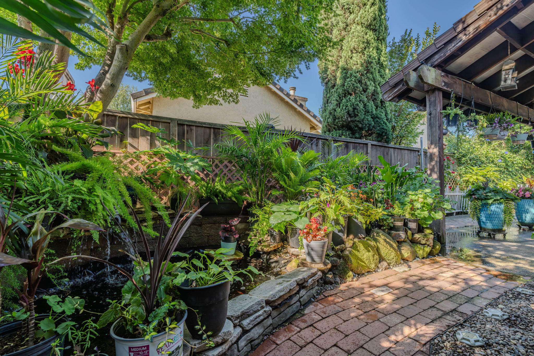  Single Story Home in a Sought After Lodi Neighborhood - 物件實景