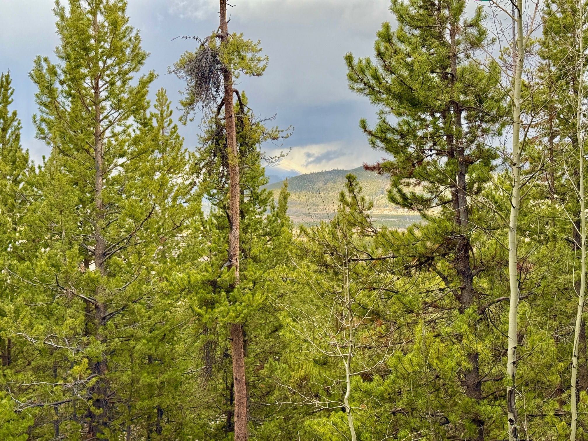  Giberson Preserve Lot 9 - 物件實景