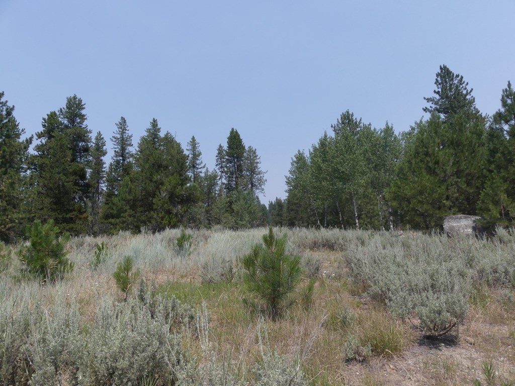 McCall, Idaho, 83638, United States, ,Land,For Sale,2005964