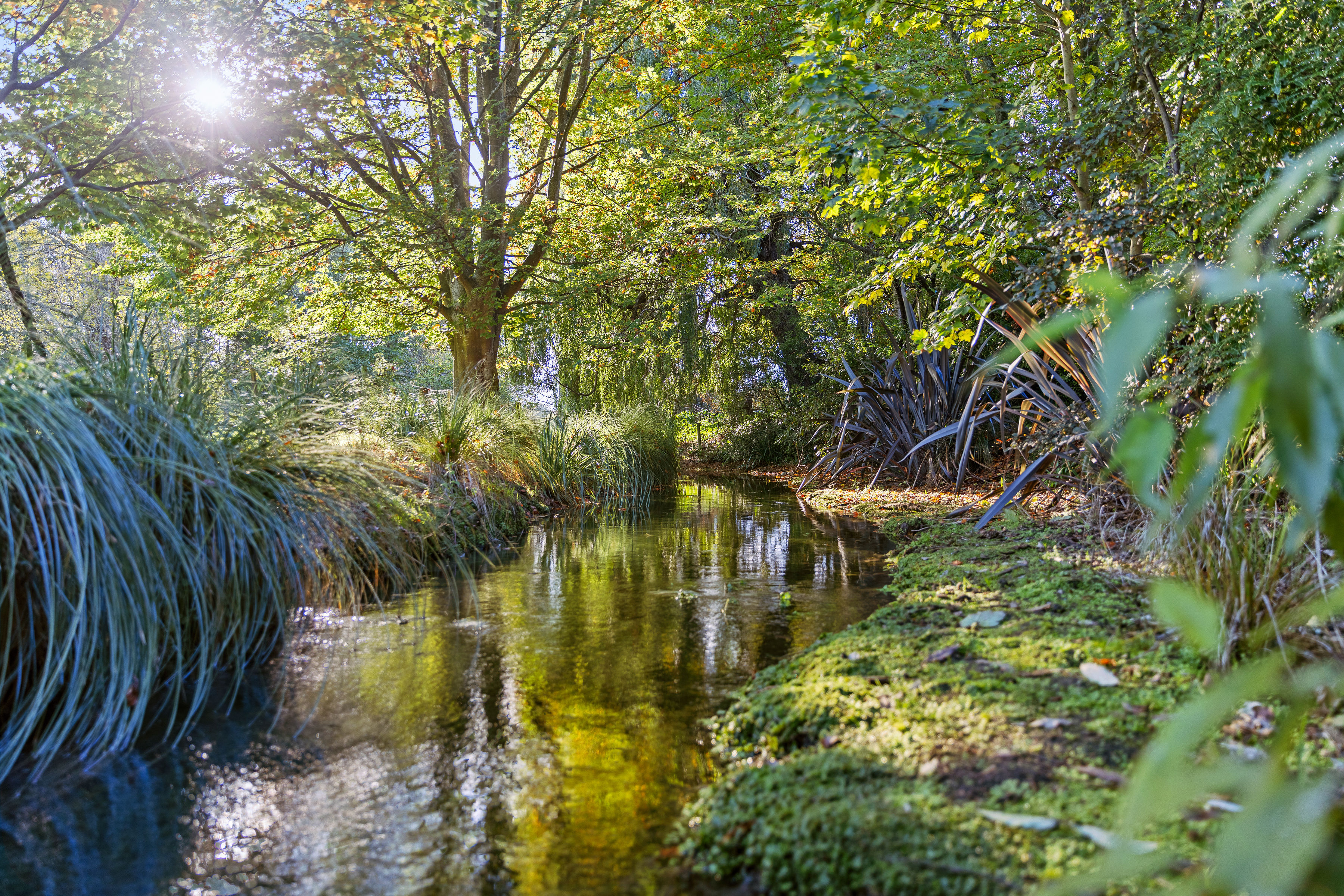 Landmark Homestead rezoned with substantial landbank - 物件實景