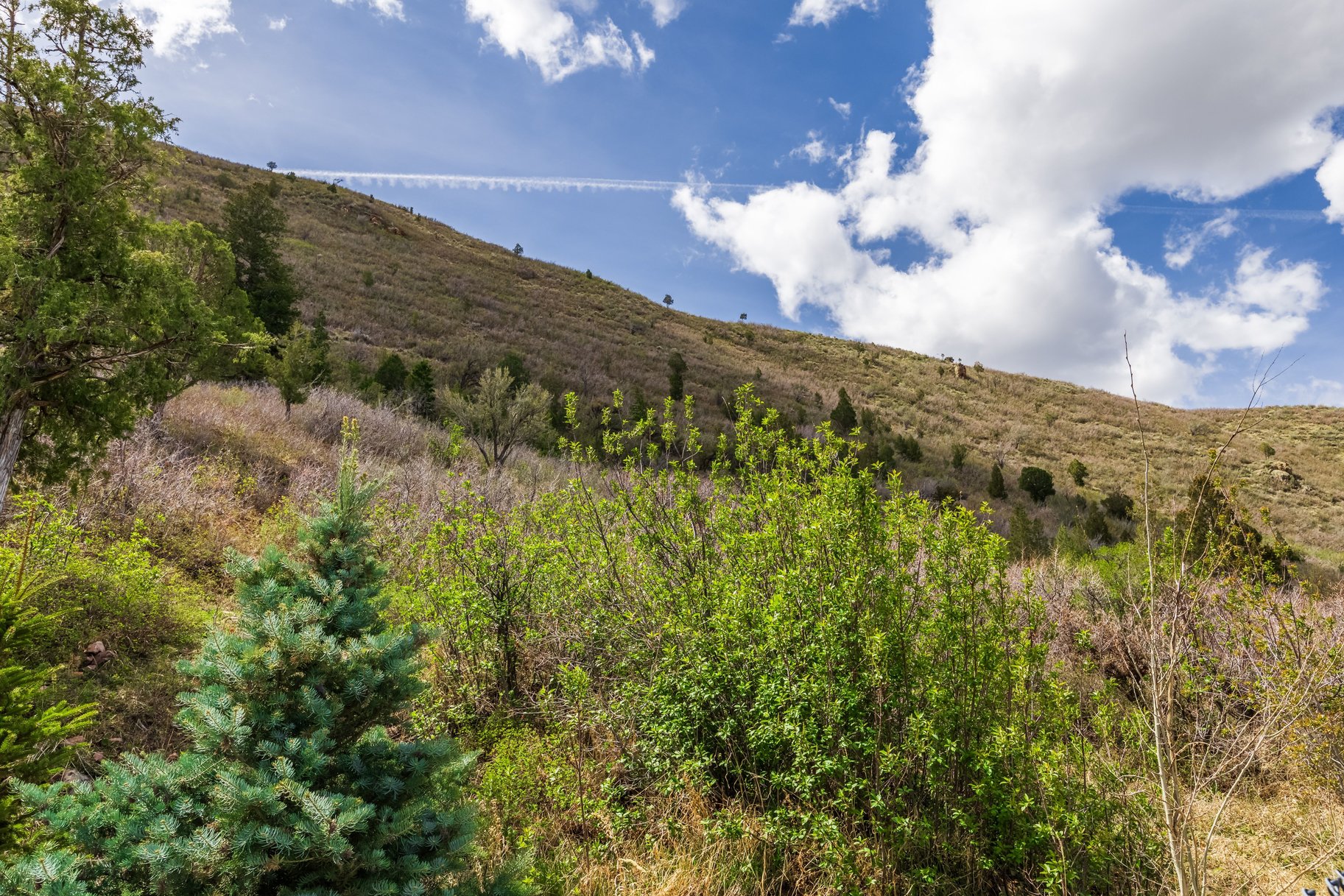  Private Kamas living near Schools and Nature. - 物件實景