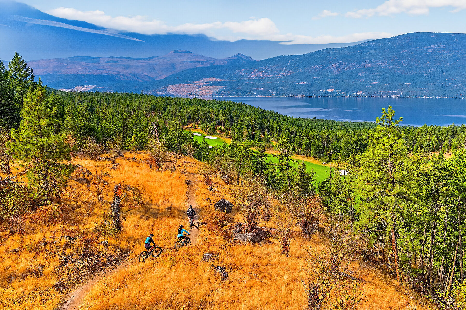  Vernon, Thompson & Okanagan - 物件實景