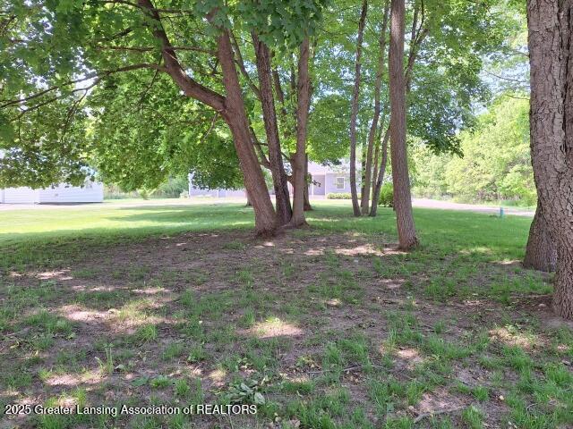 Charlotte, Michigan, 48813, United States, 5 Bedrooms Bedrooms, ,5 BathroomsBathrooms,Residential,For Sale,1985665