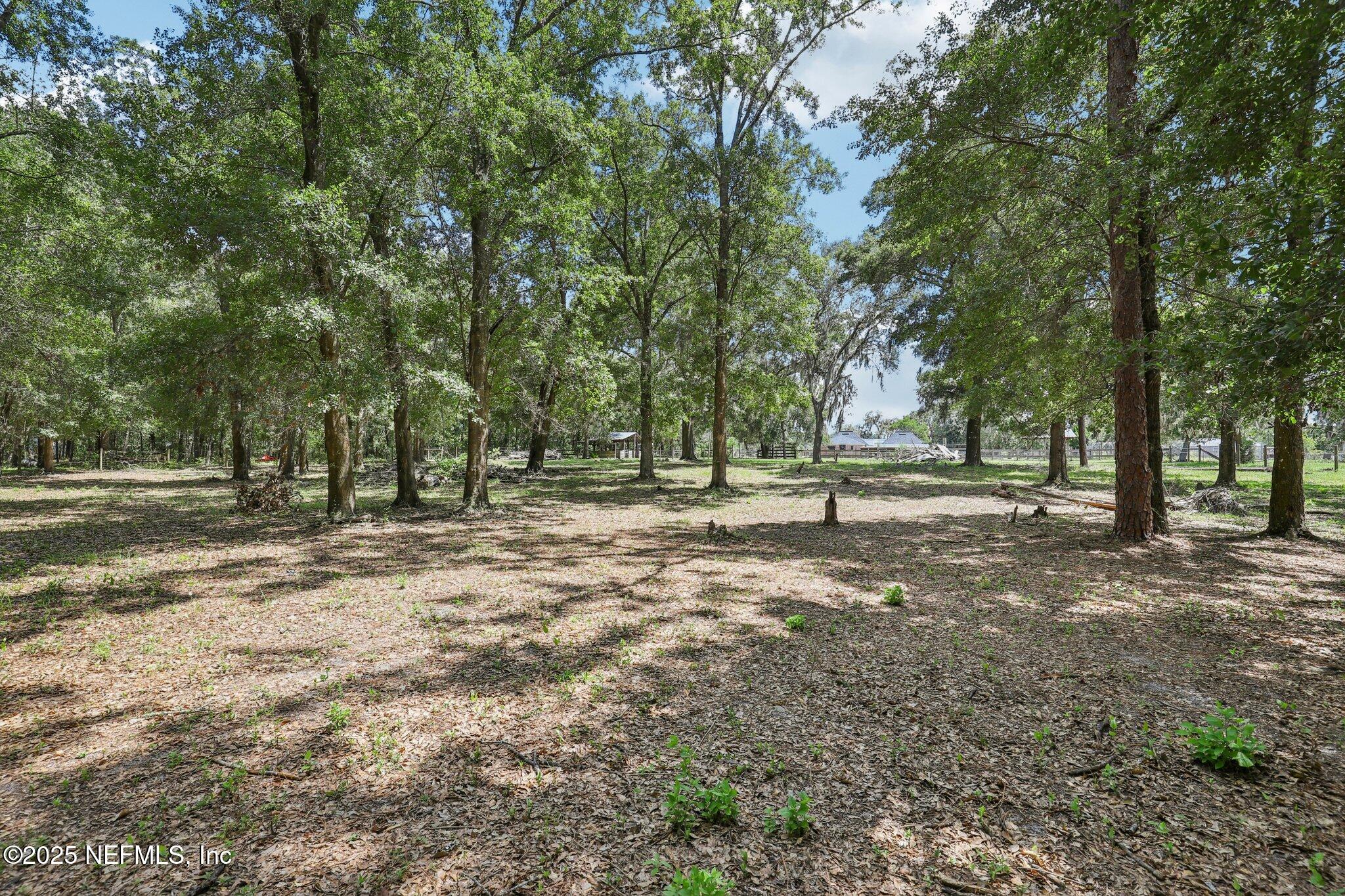 Middleburg, Florida, 32068, United States, 4 Bedrooms Bedrooms, ,2 BathroomsBathrooms,Residential,For Sale,1912392