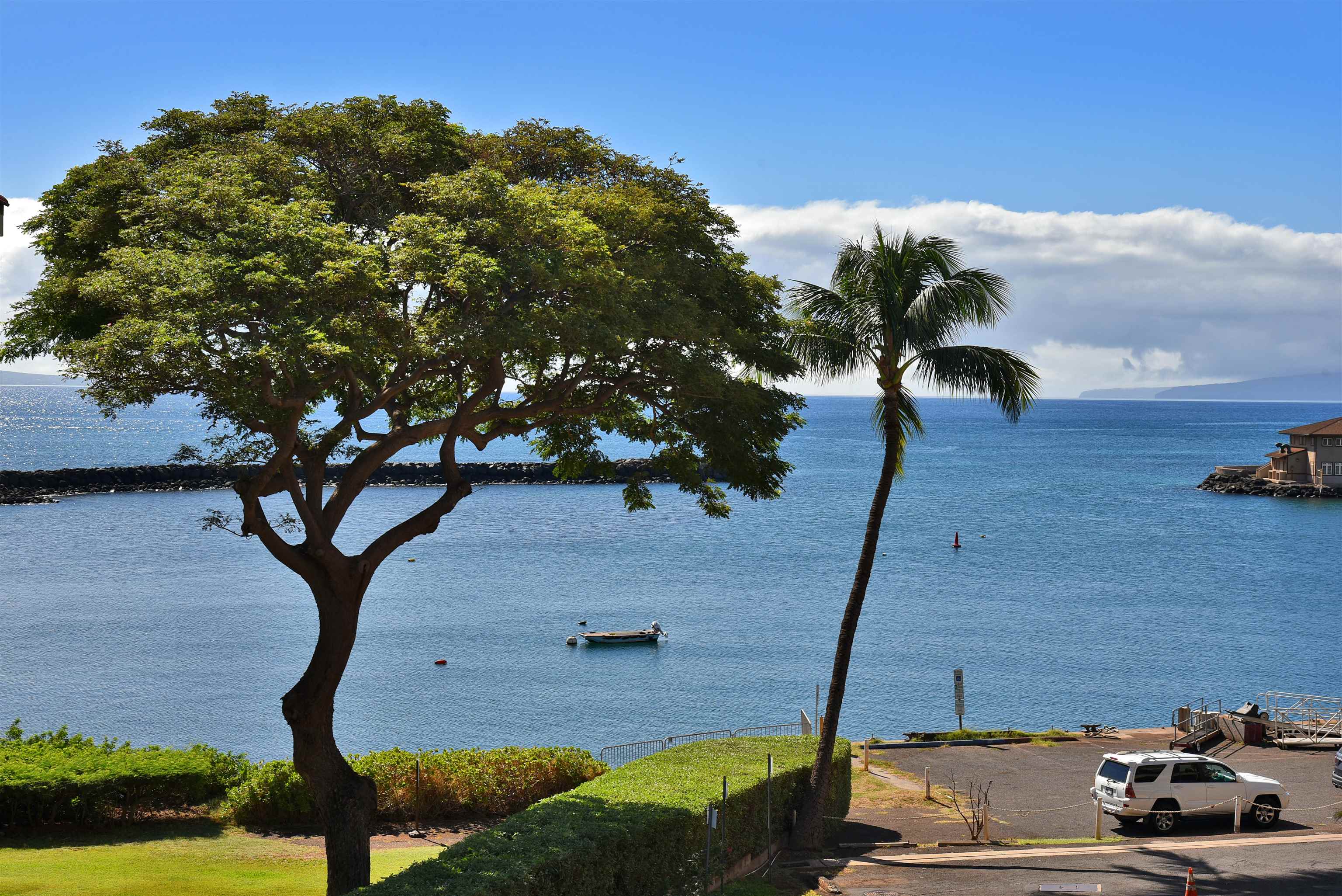 Wailuku, Hawaii, 96793, United States, 1 Bedroom Bedrooms, ,1 BathroomBathrooms,Residential,For Sale,1990319