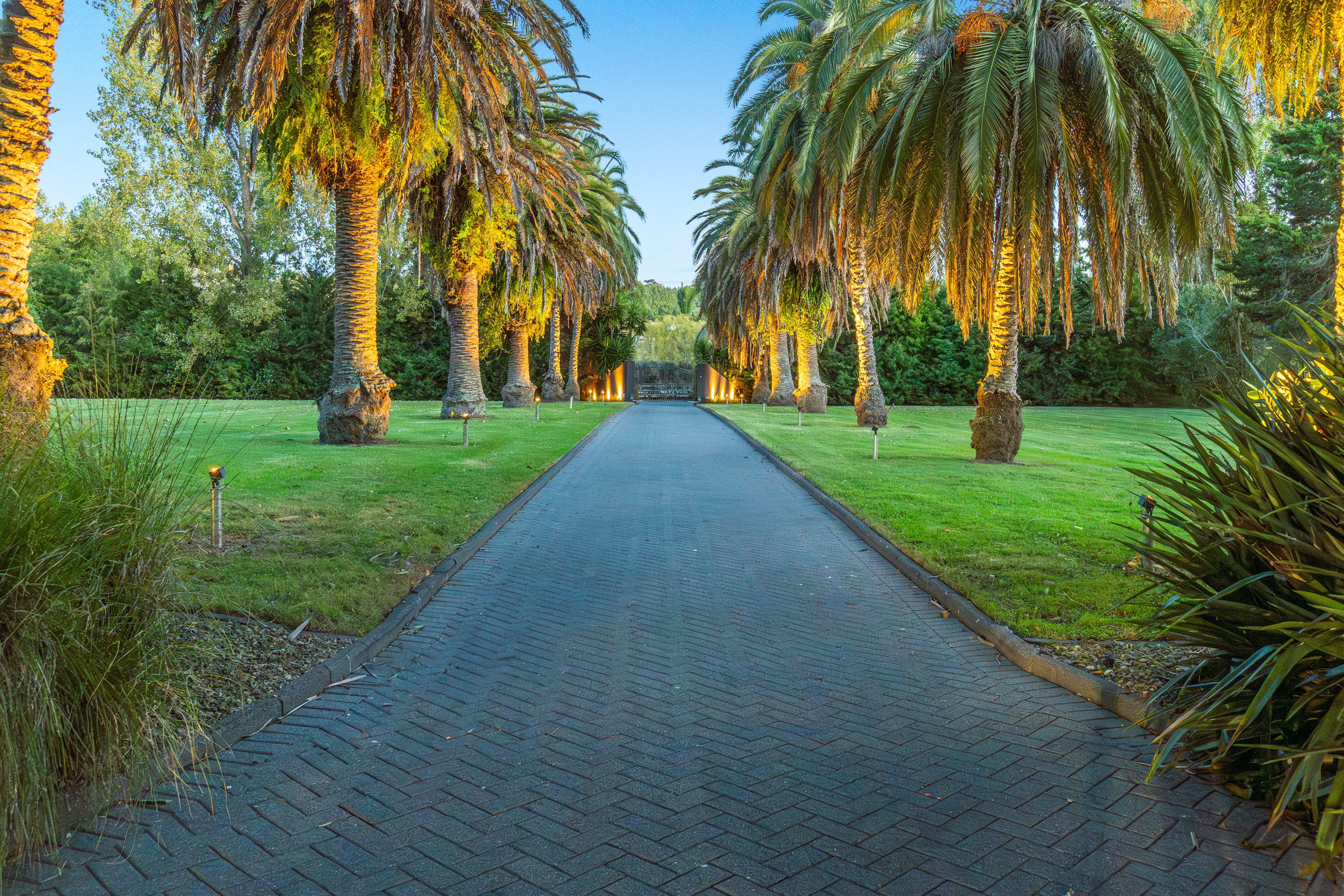  55 Postman Road, Dairy Flat - 物件實景